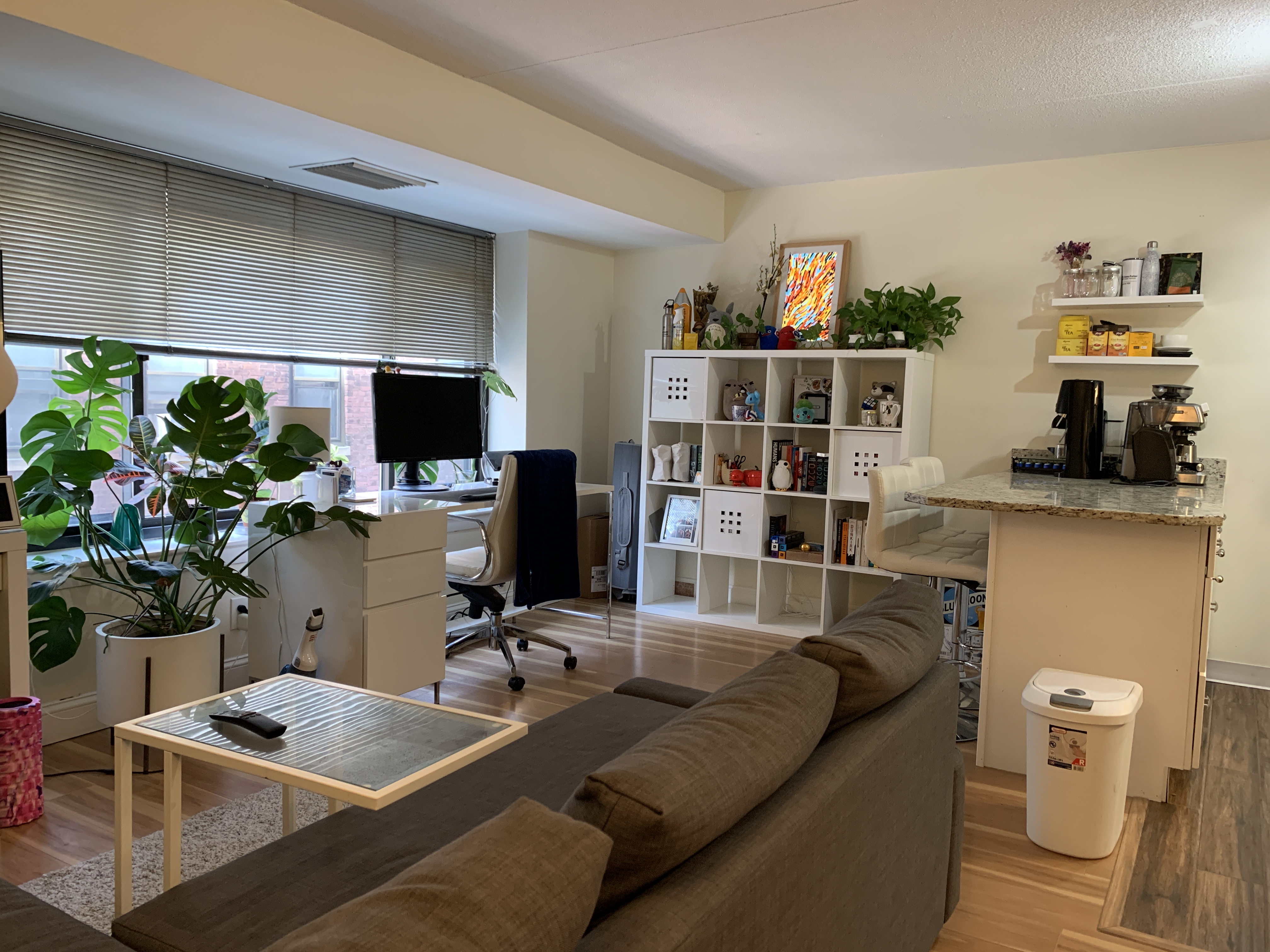 1 bed, 1 bath apartment for rent at 1243 Beacon St Unit 3E, Longwood — photo 2 of 9
