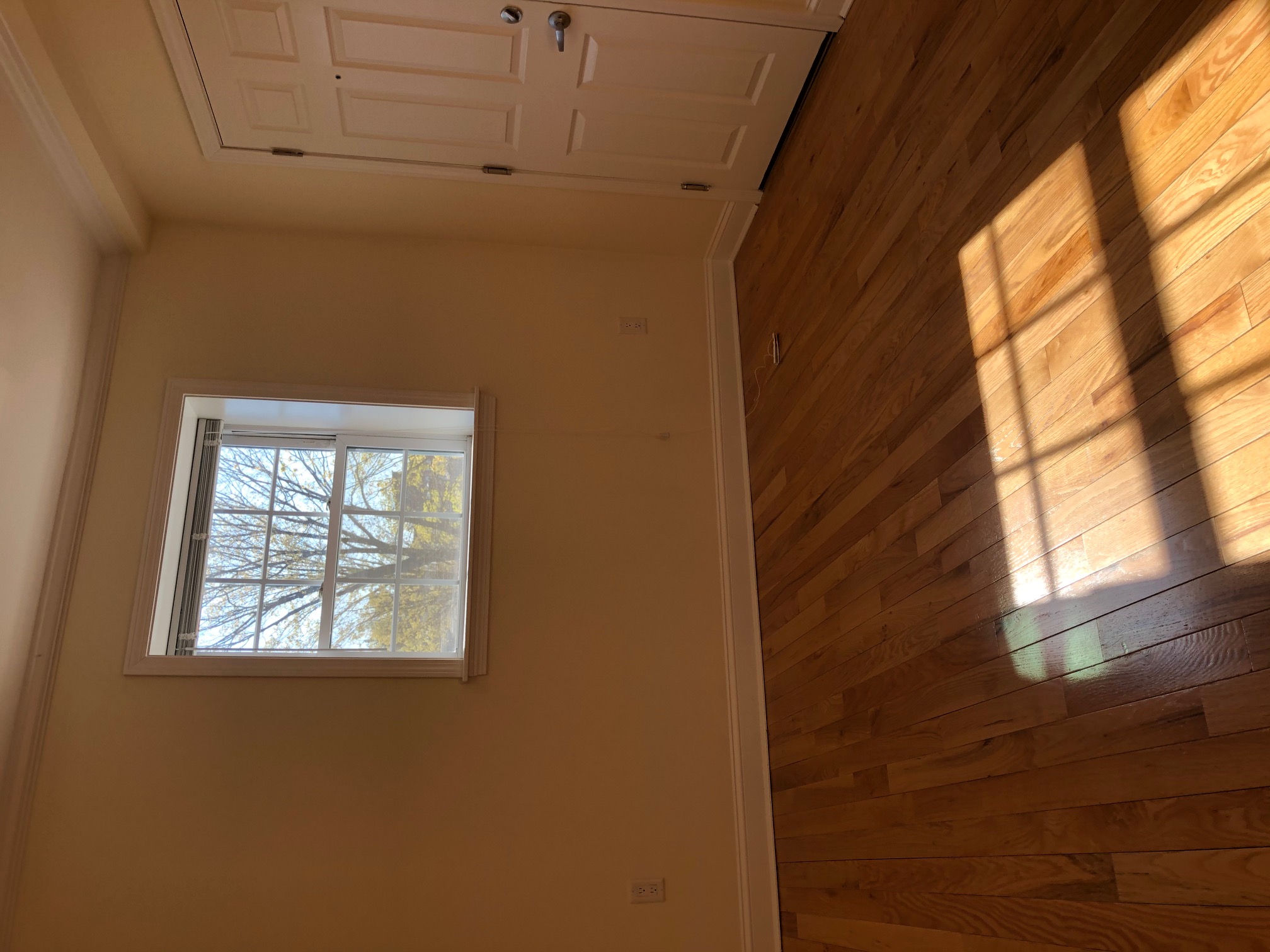 3 bed, 1.5 bath apartment for rent at 16 Avon St Unit 5, Harvard Square — photo 16 of 17
