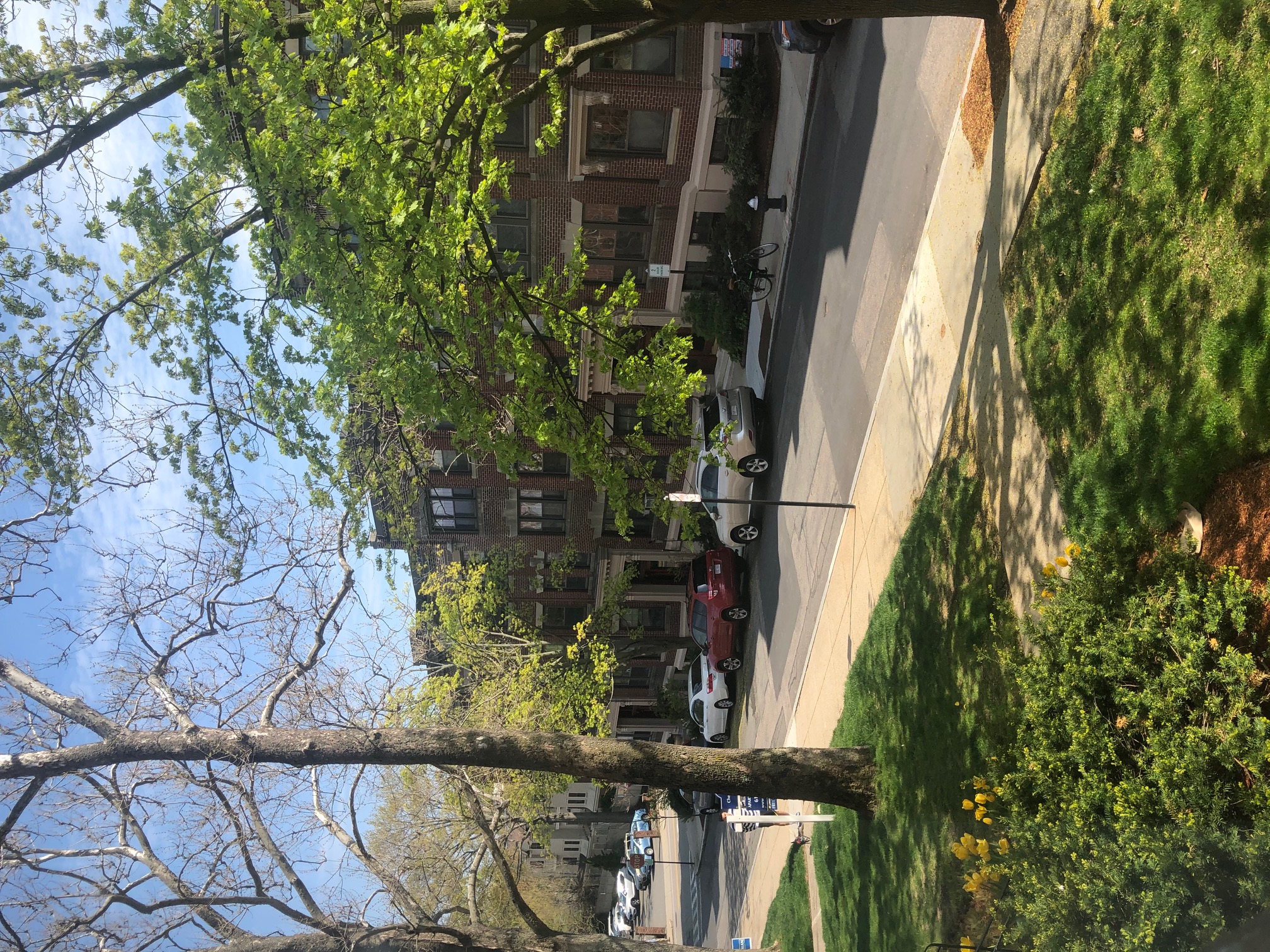 2 bed, 1 bath apartment for rent at 8 Littell Rd Unit 1, Coolidge Corner — photo 1 of 9