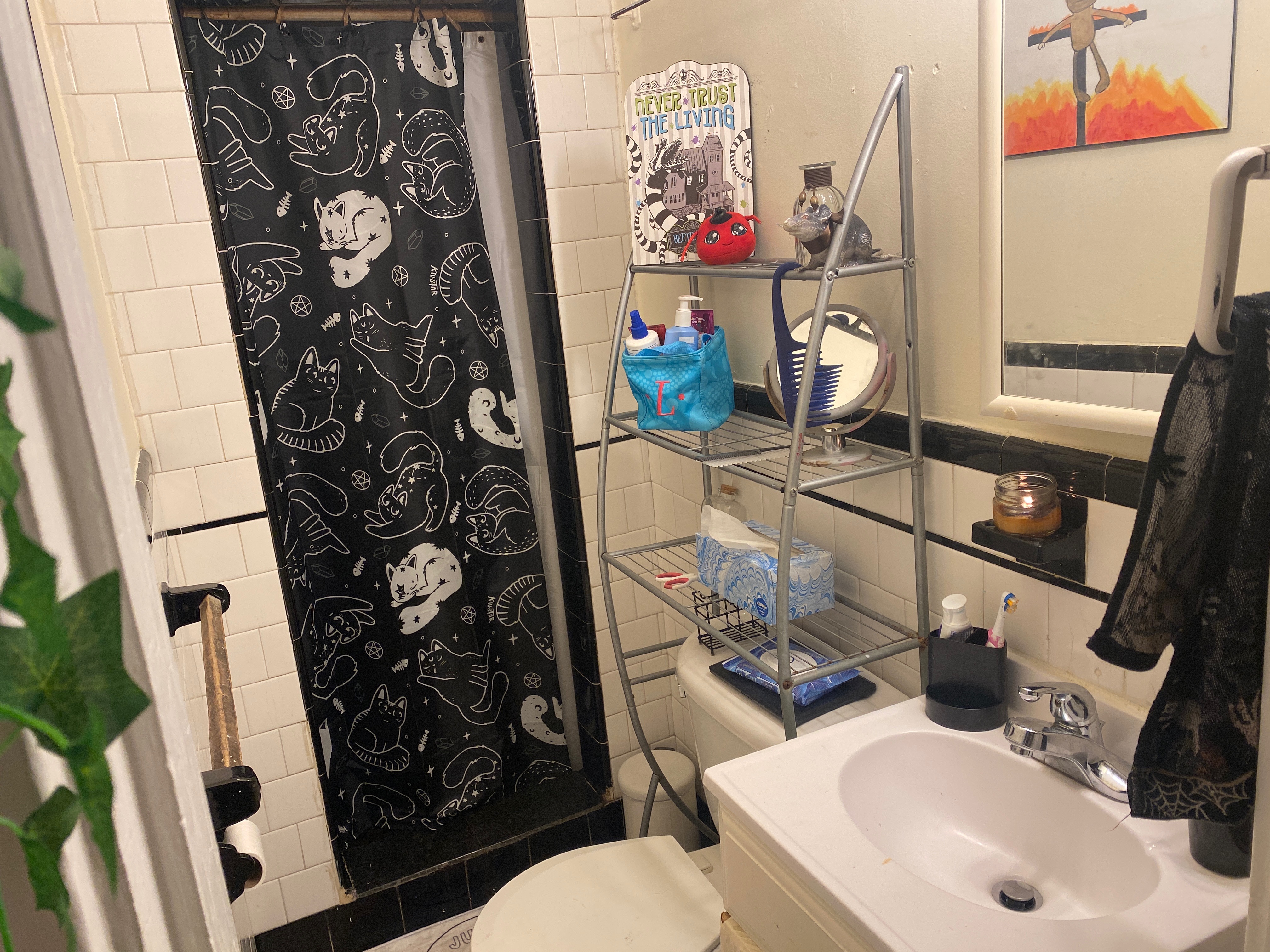 1 bed, 1 bath apartment for rent at 1318 Commonwealth Ave Unit 3A, Allston — photo 5 of 5