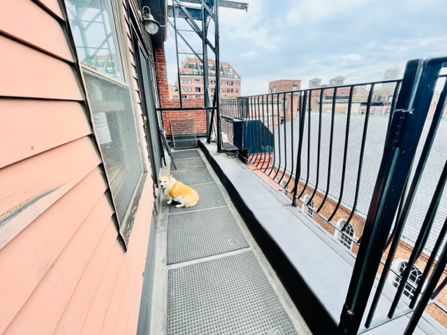 1 bed, 1 bath apartment for rent at 8 Harris St Unit 7, North End — photo 8 of 14