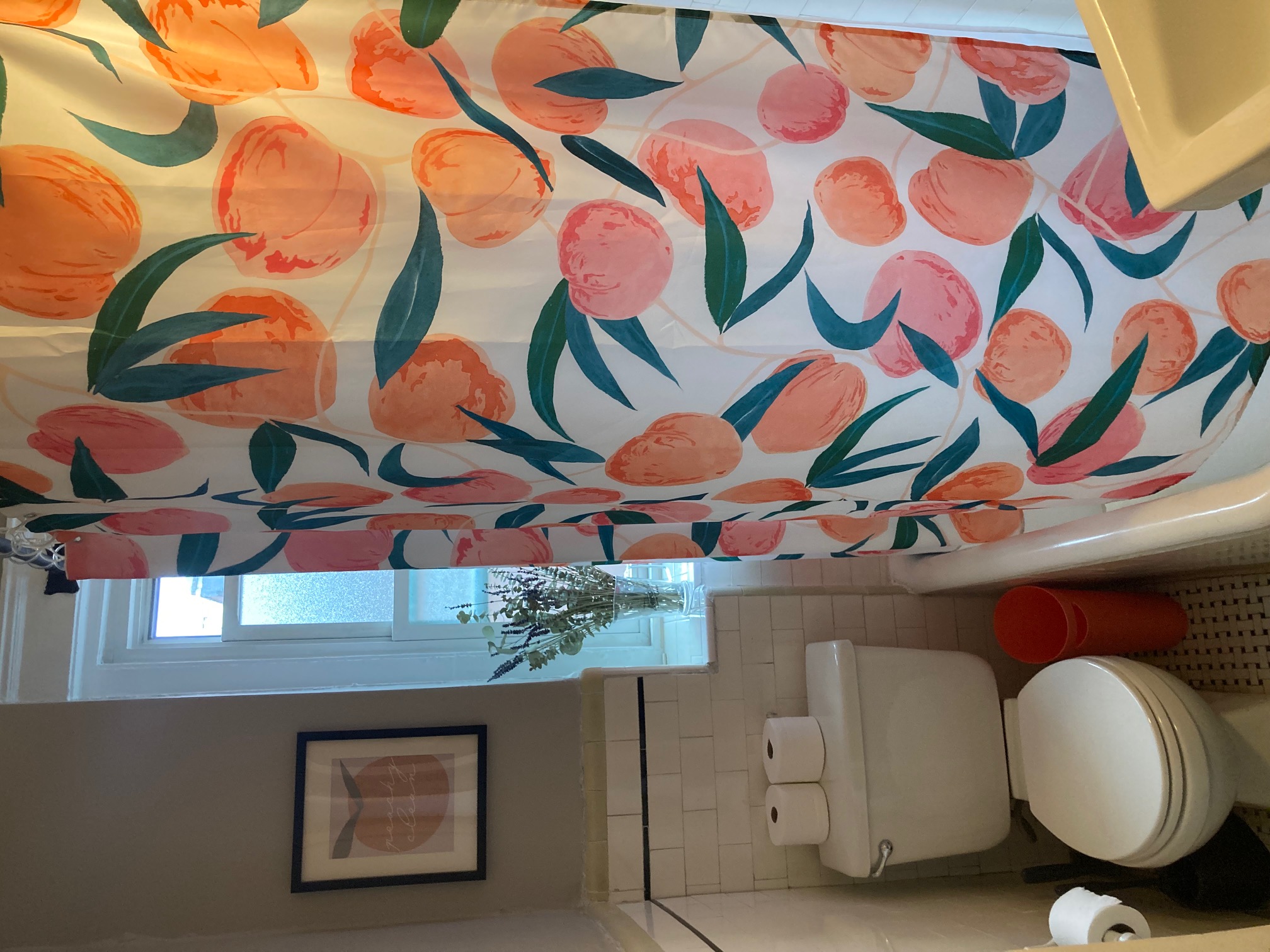 1 bed, 1 bath apartment for rent at 26 Myrtle St Unit 10, Beacon Hill — photo 8 of 10