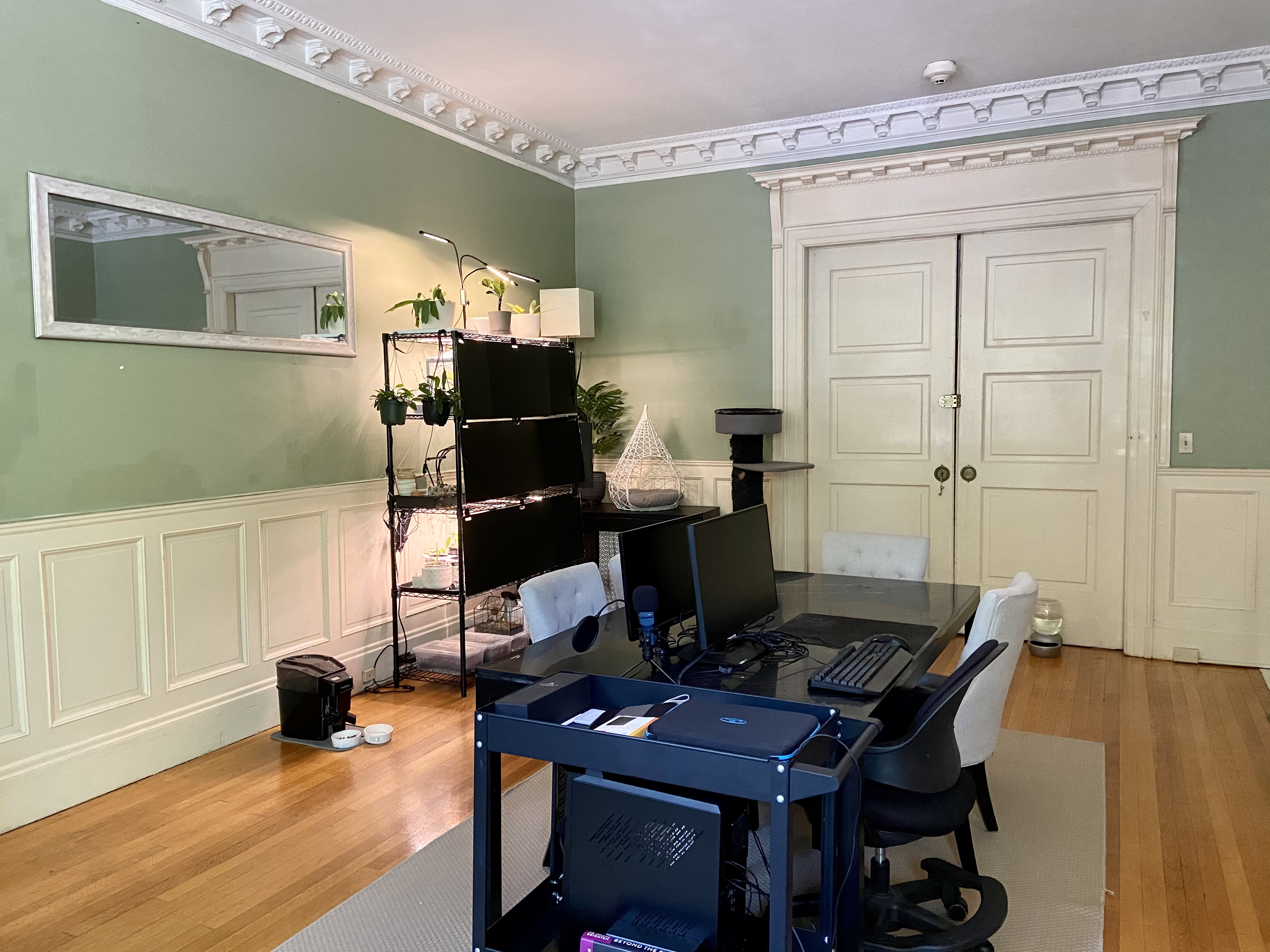 1 bed, 1 bath apartment for rent at 454 Beacon St Unit 1F, Back Bay — photo 5 of 12