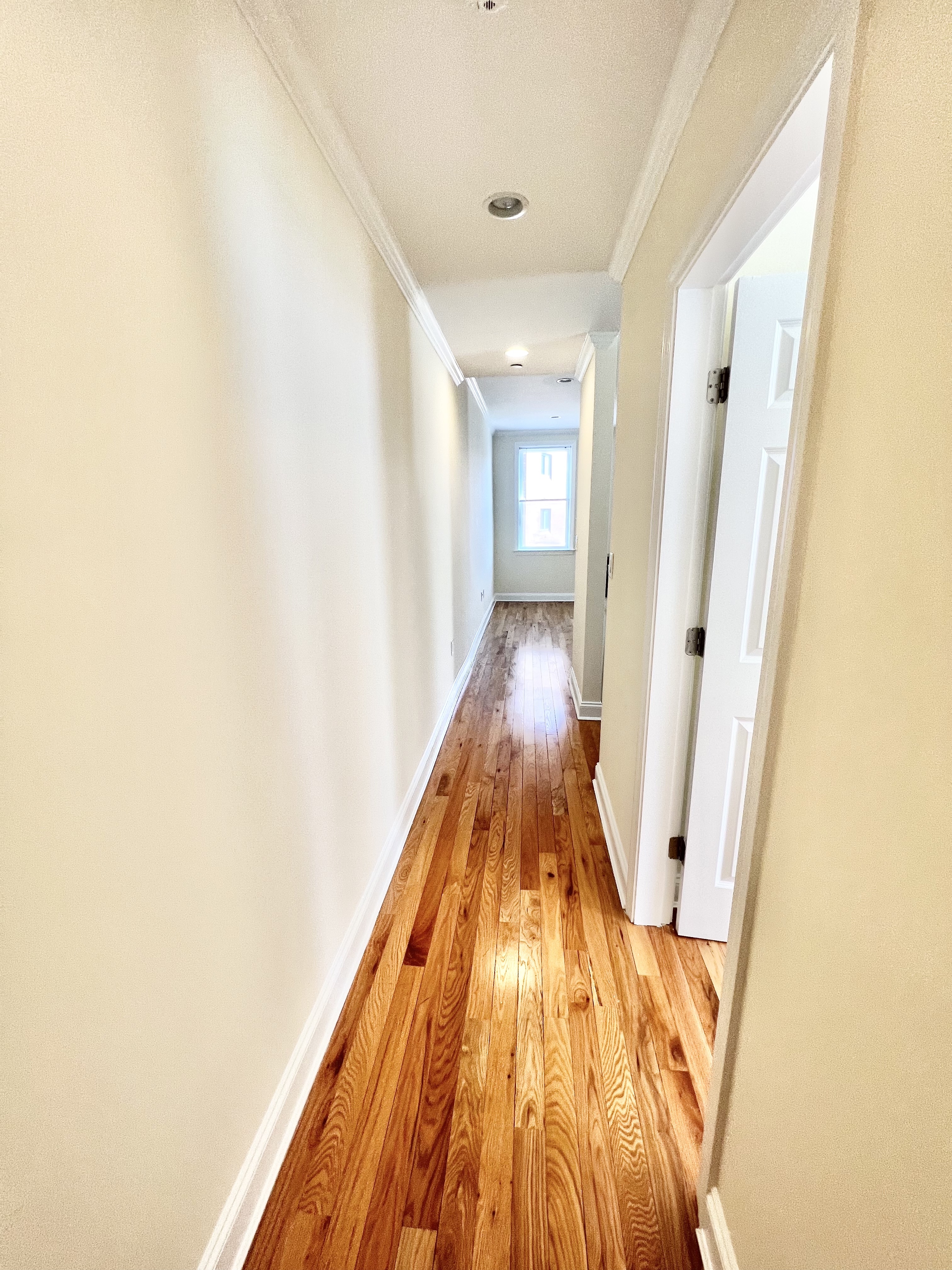 3 bed, 2 bath apartment for rent at 5 Shepard St Unit 3, Harvard Square — photo 5 of 7