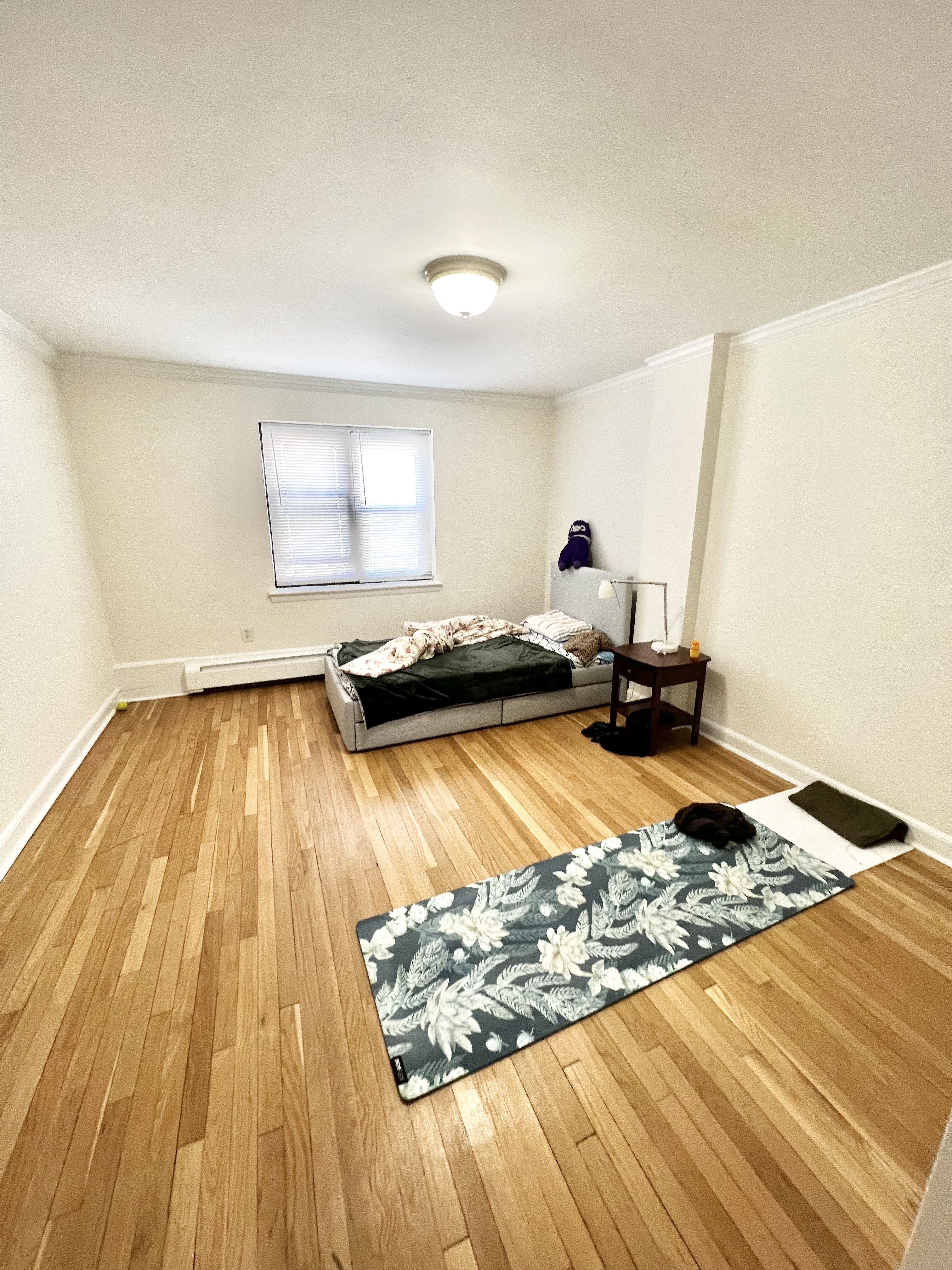 1 bed, 1 bath apartment for rent at 38 Harvard Ave Unit 46, Coolidge Corner — photo 6 of 10