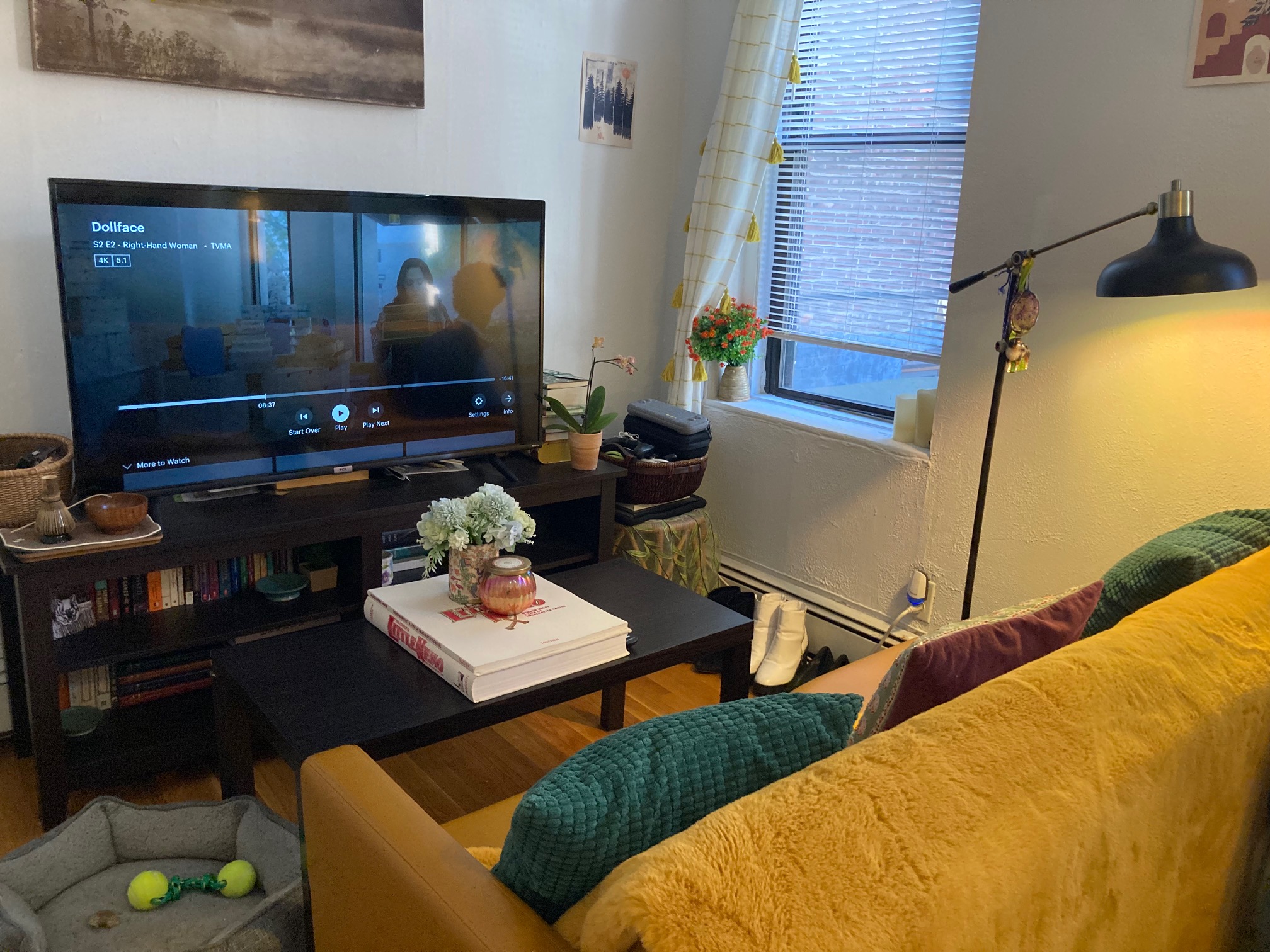 Studio bed, 1 bath apartment for rent at 41 Irving St Unit 8, Beacon Hill — photo 10 of 10