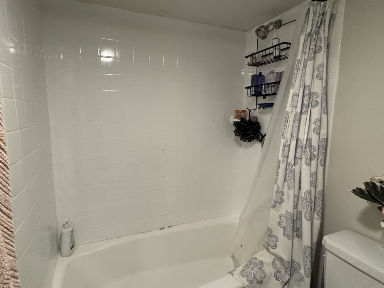 836 Huntington Ave, Mission Hill