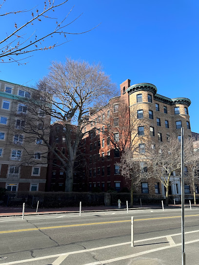 1 bed, 1 bath apartment for rent at 1010 Massachusetts Ave Unit 52, Central Square — photo 2 of 2