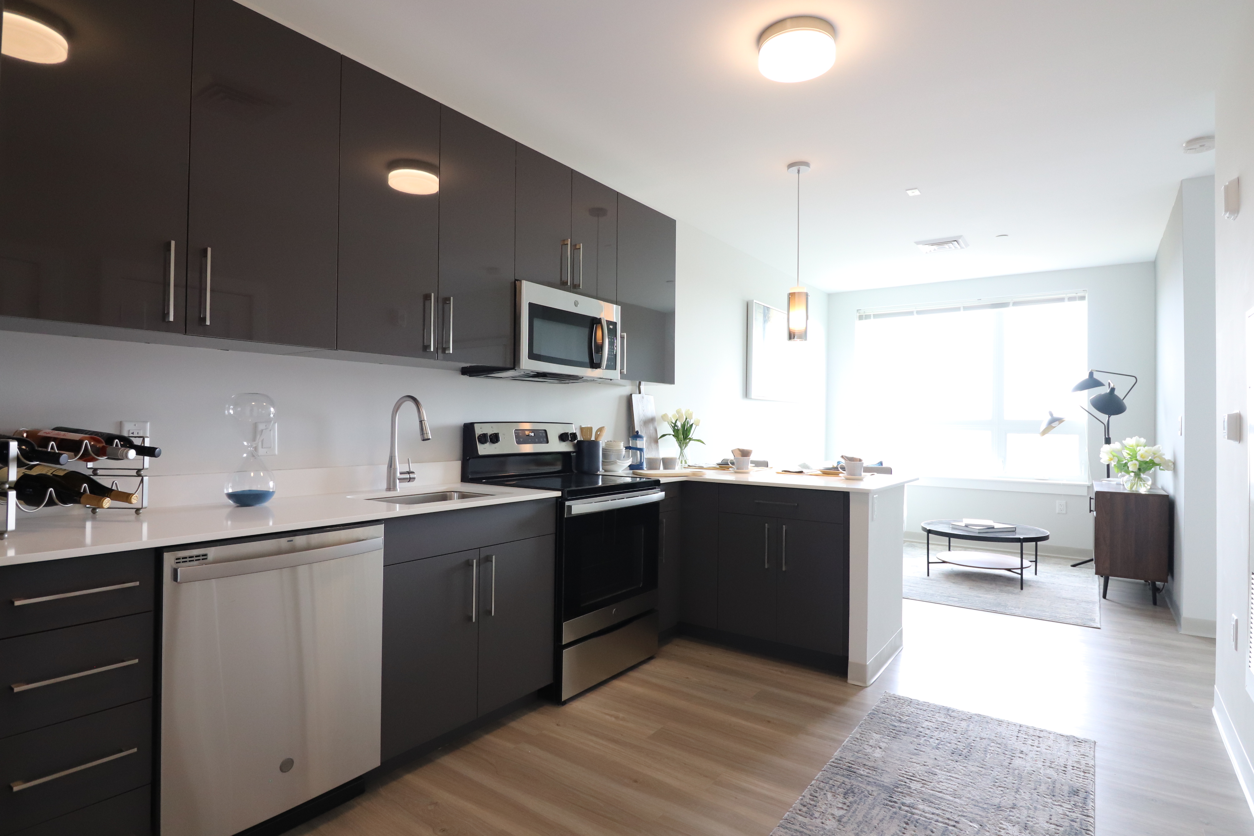 1 bed, 1 bath apartment for rent at 161 Washington St Unit 2235, Brighton — photo 2 of 9