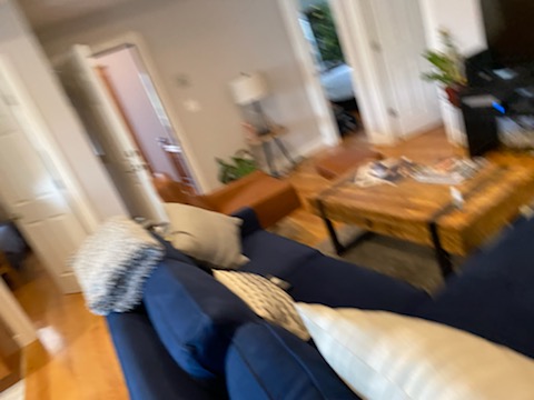 1 bed, 2 bath apartment for rent at 43 Parkton Unit 1, Jamaica Plain — photo 8 of 37