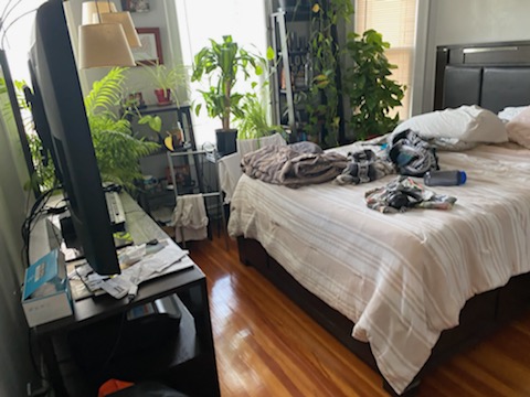 1 bed, 2 bath apartment for rent at 43 Parkton Unit 1, Jamaica Plain — photo 28 of 37