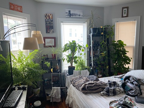 1 bed, 2 bath apartment for rent at 43 Parkton Unit 1, Jamaica Plain — photo 27 of 37