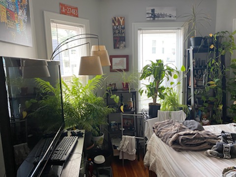 1 bed, 2 bath apartment for rent at 43 Parkton Unit 1, Jamaica Plain — photo 32 of 37