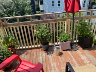 1 bed, 2 bath apartment for rent at 43 Parkton Unit 1, Jamaica Plain — photo 34 of 37