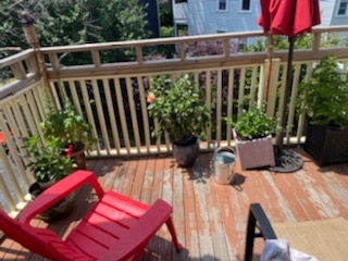 1 bed, 2 bath apartment for rent at 43 Parkton Unit 1, Jamaica Plain — photo 35 of 37