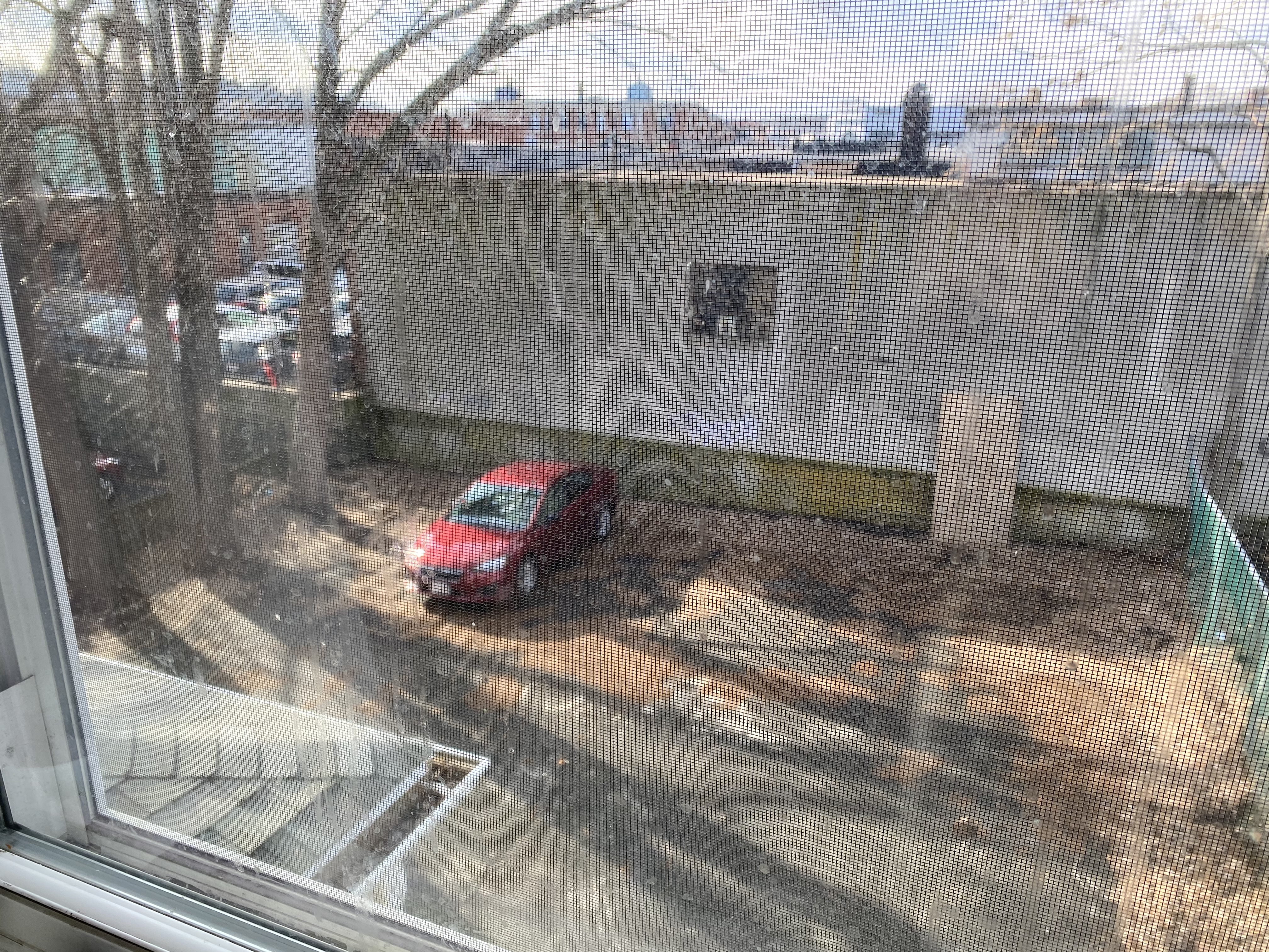 5 bed, 3 bath apartment for rent at 87 Linden St Unit 2, Allston — photo 9 of 35