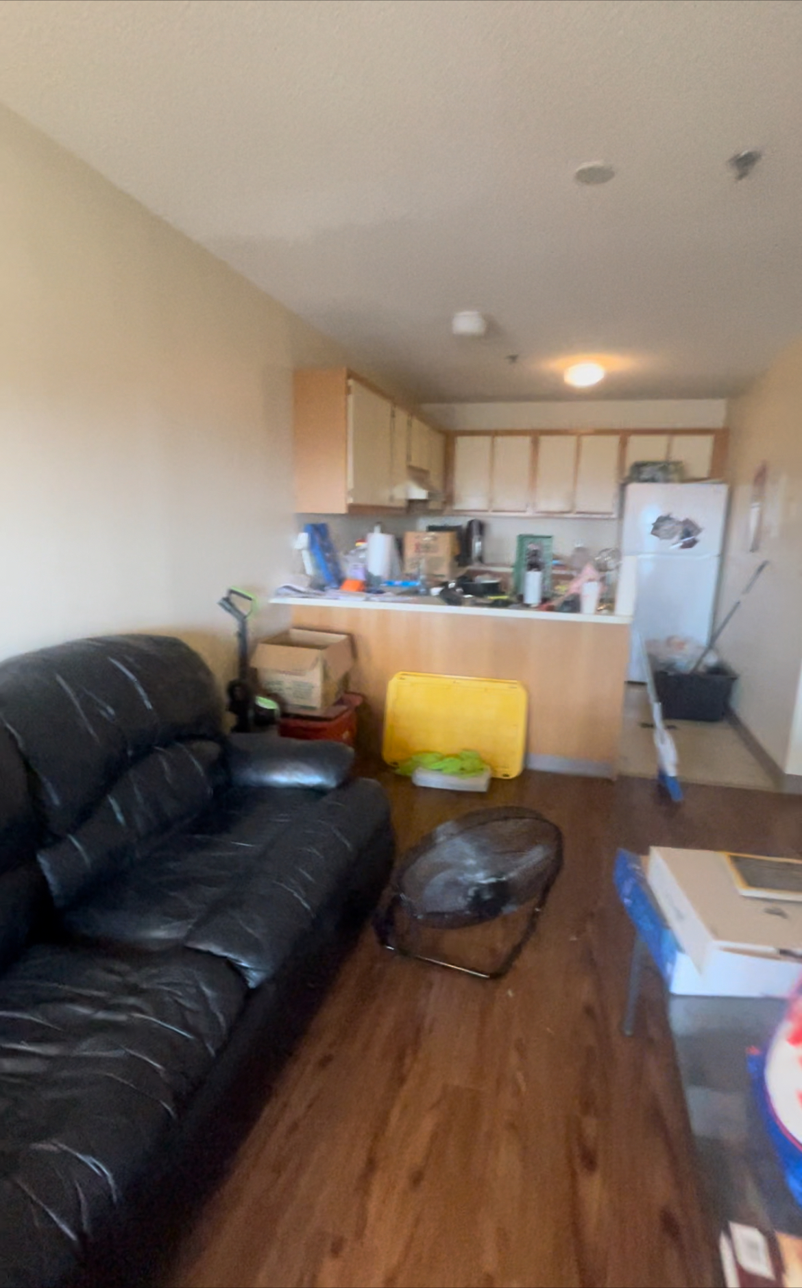 1 bed, 1 bath apartment for rent at 100 Washington St Unit 62, Salem — photo 5 of 10