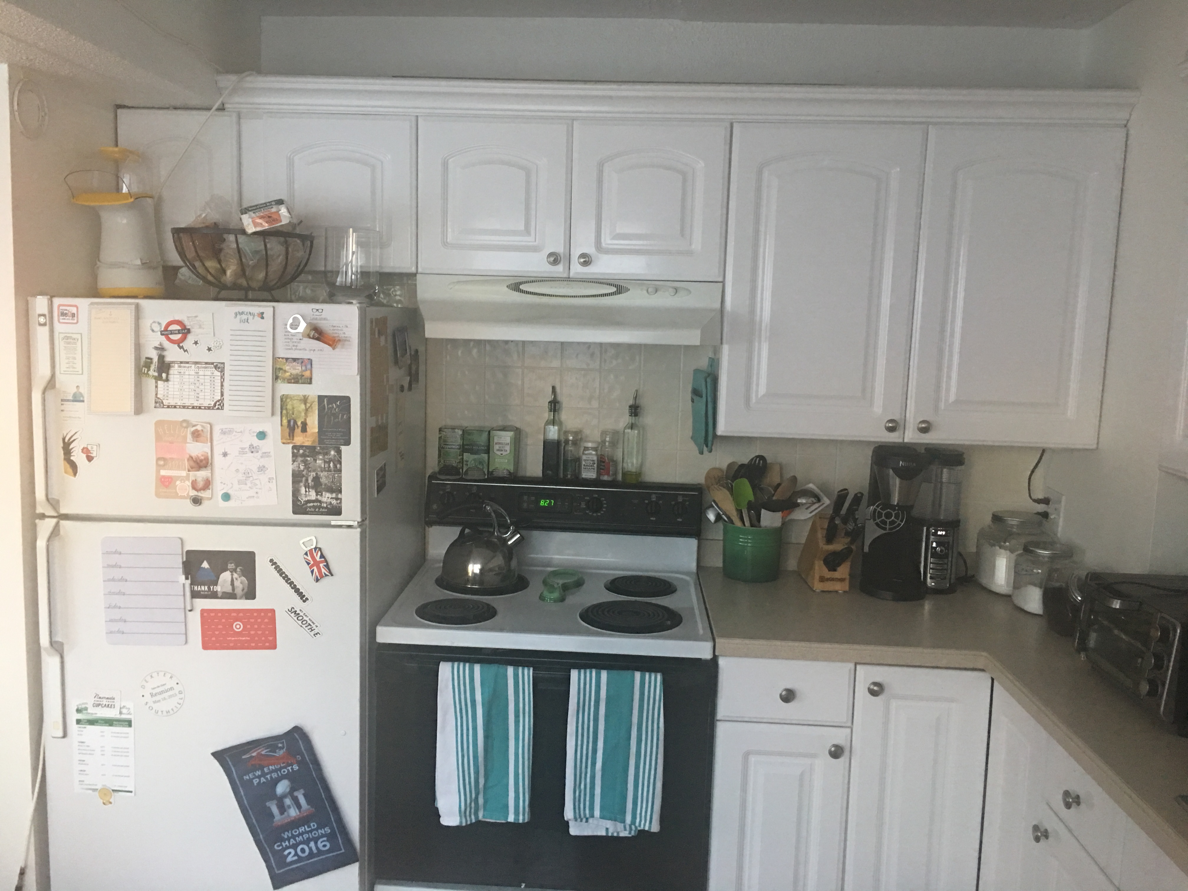 2 bed, 1.5 bath apartment for rent at 55 Sewall Ave Unit 1, Coolidge Corner — photo 2 of 14