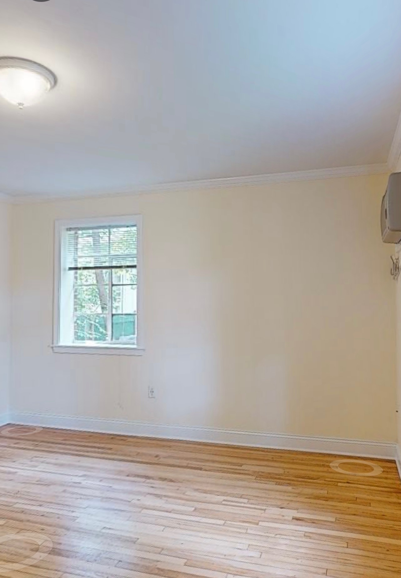 2 bed, 1 bath apartment for rent at 48 St Paul Unit 84-1, Coolidge Corner — photo 6 of 17