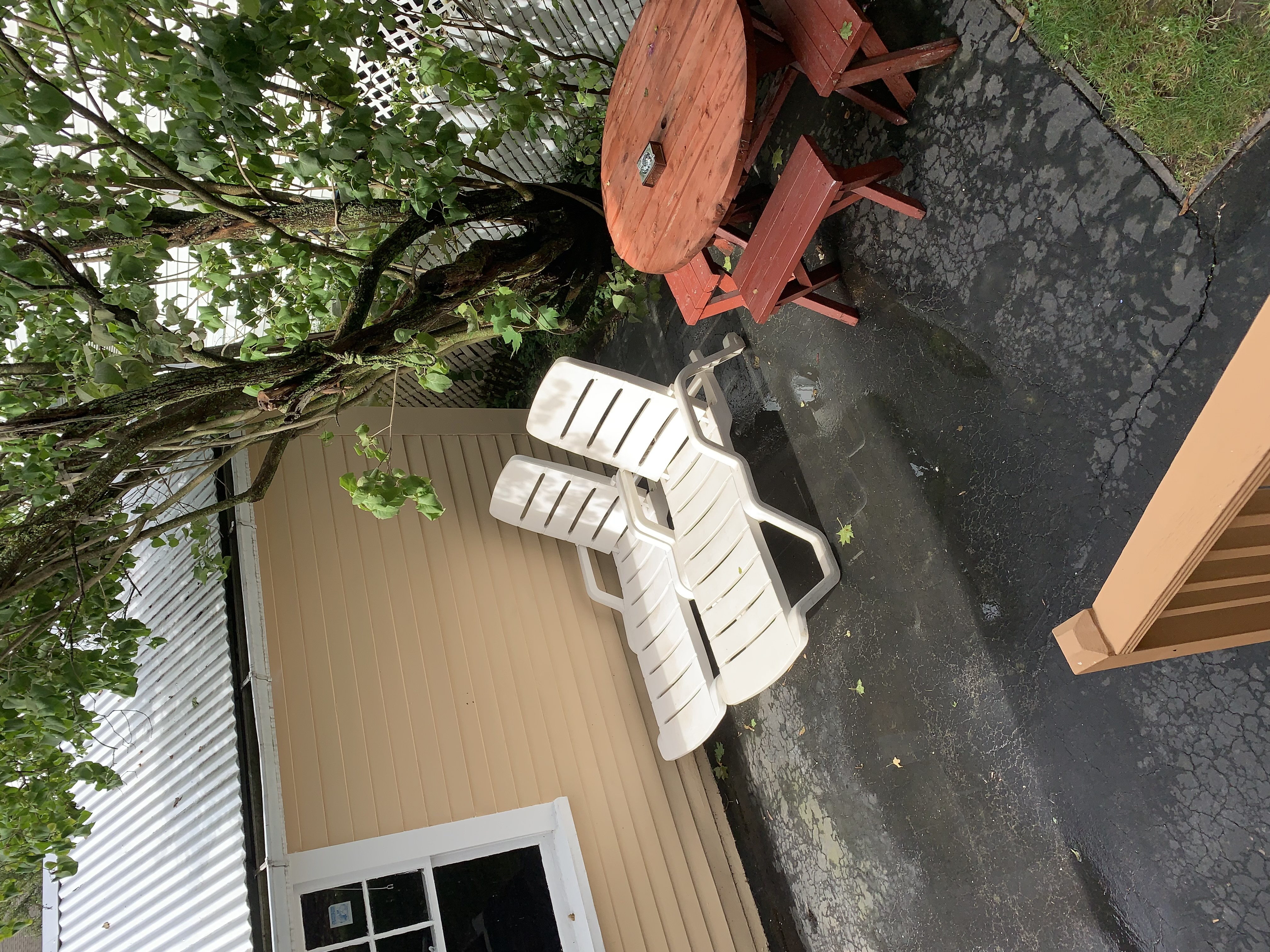 1 bed, 1 bath apartment for rent at 127 Selwyn St Unit 103, Roslindale — photo 3 of 6