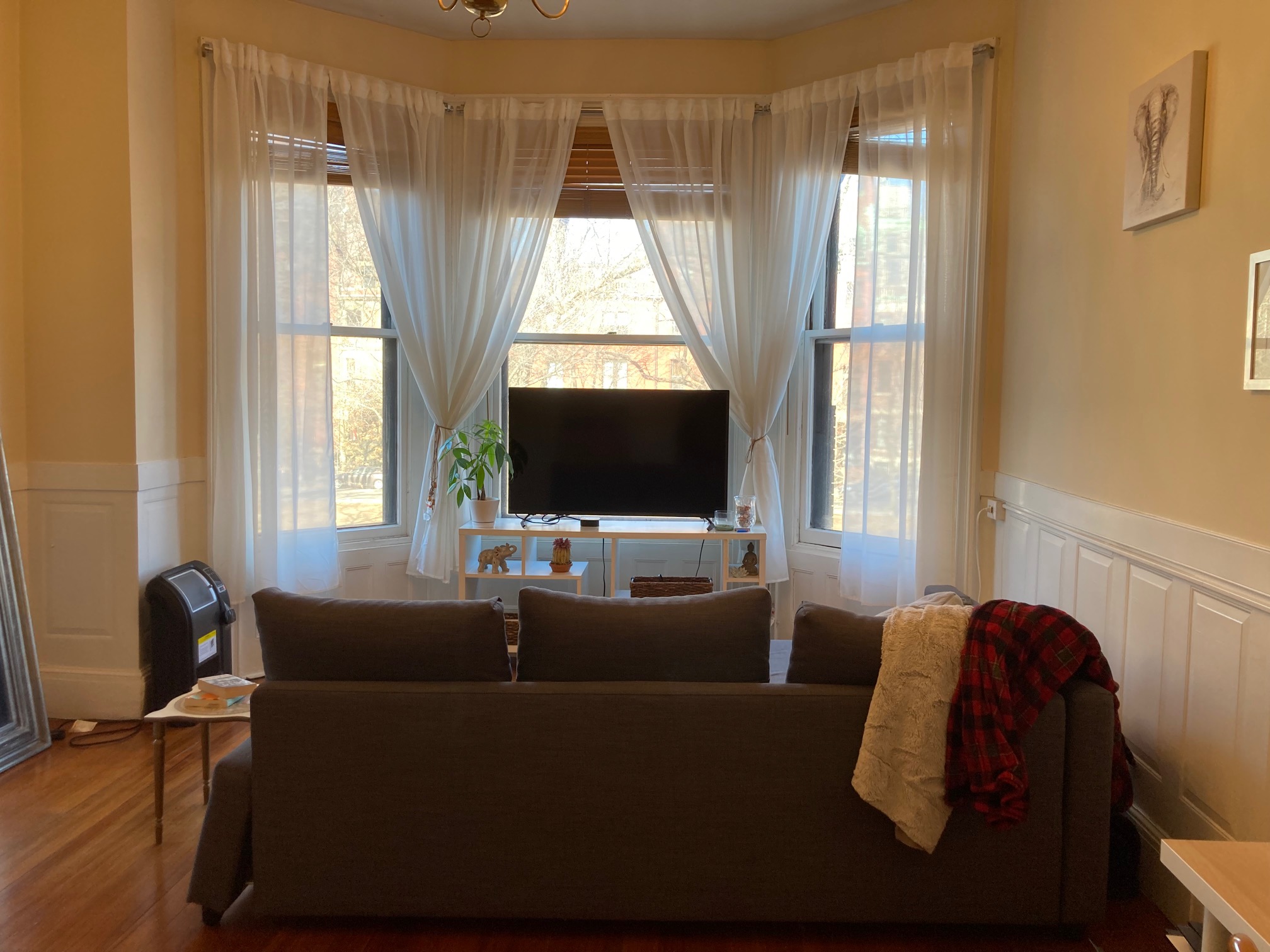 1 bed, 1 bath apartment for rent at 206 Commonwealth Ave Unit 2A, Back Bay — photo 2 of 21