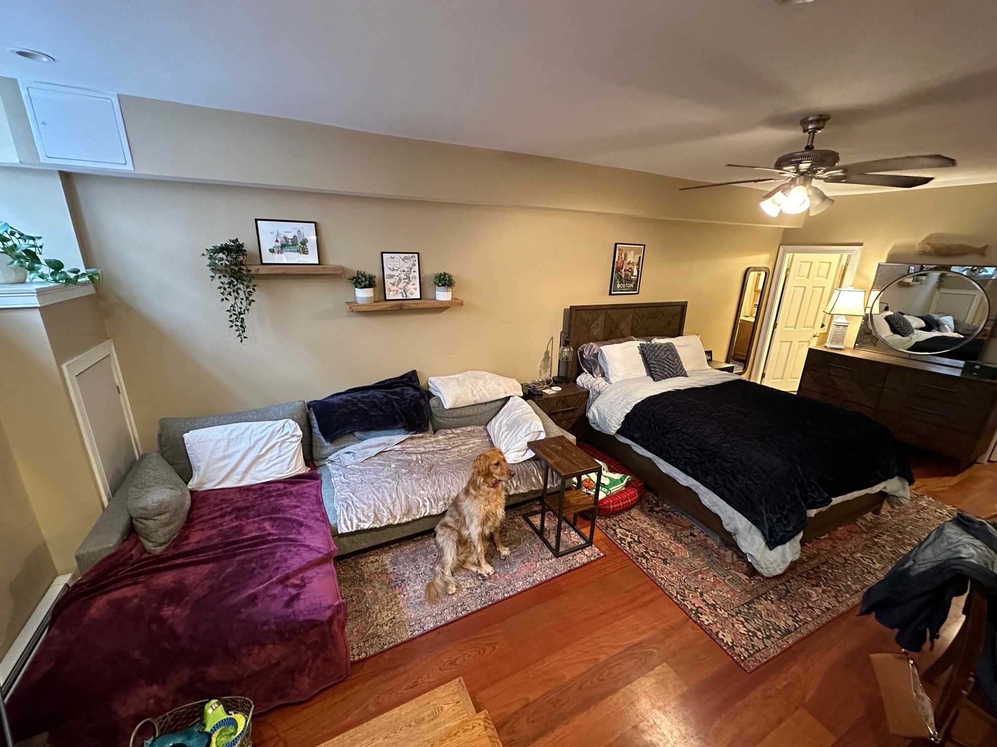 Studio bed, 1 bath apartment for rent at 7 Grove St Unit A, Beacon Hill — photo 1 of 12