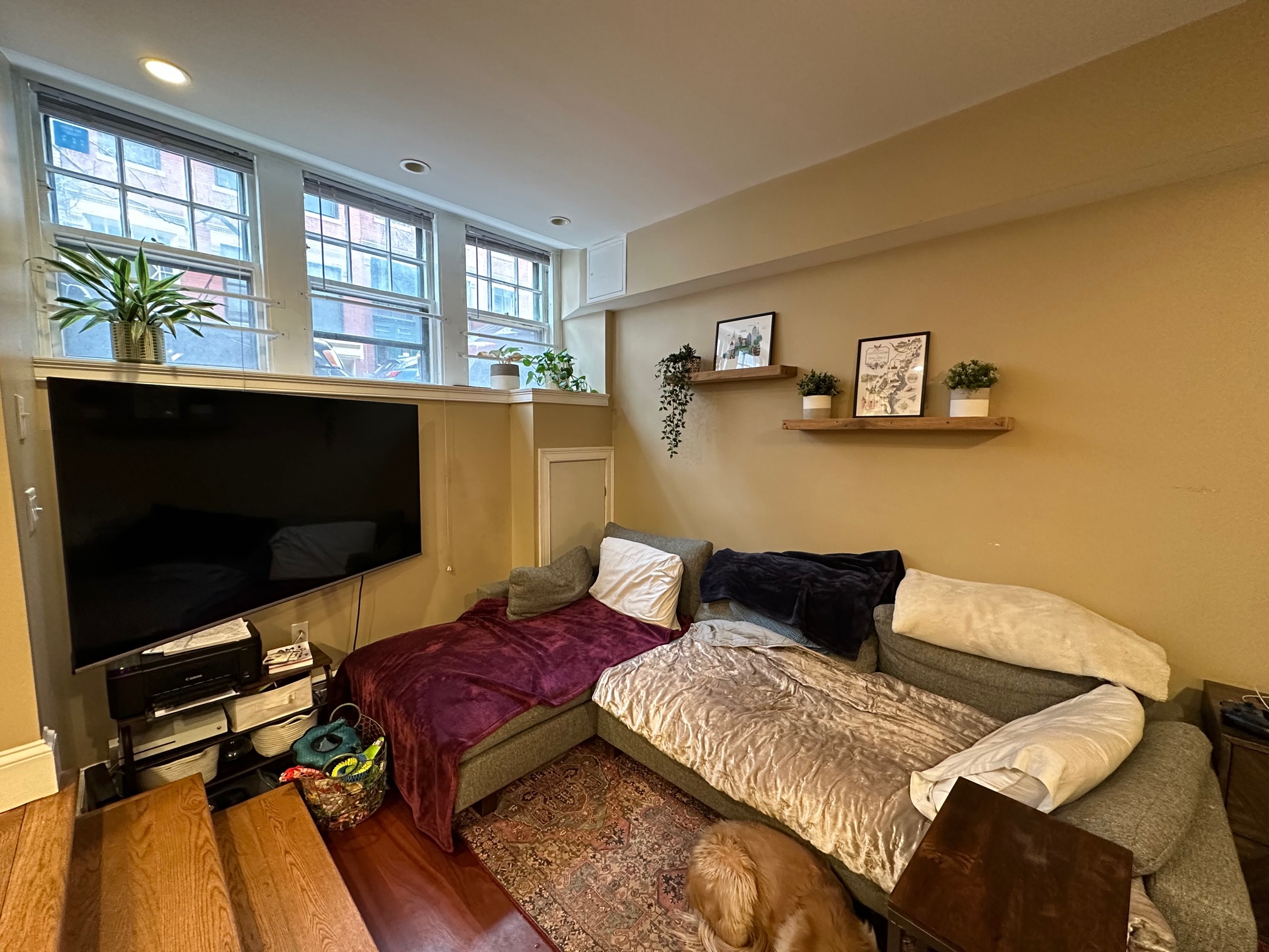Studio bed, 1 bath apartment for rent at 7 Grove St Unit A, Beacon Hill — photo 3 of 12