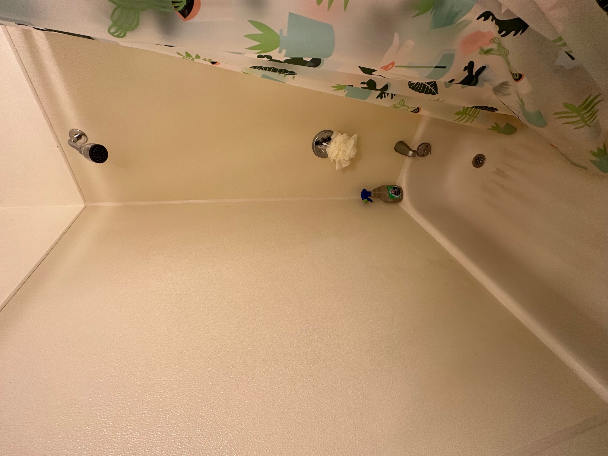 Studio bed, 1 bath apartment for rent at 68 Myrtle St Unit 9, Beacon Hill — photo 10 of 11