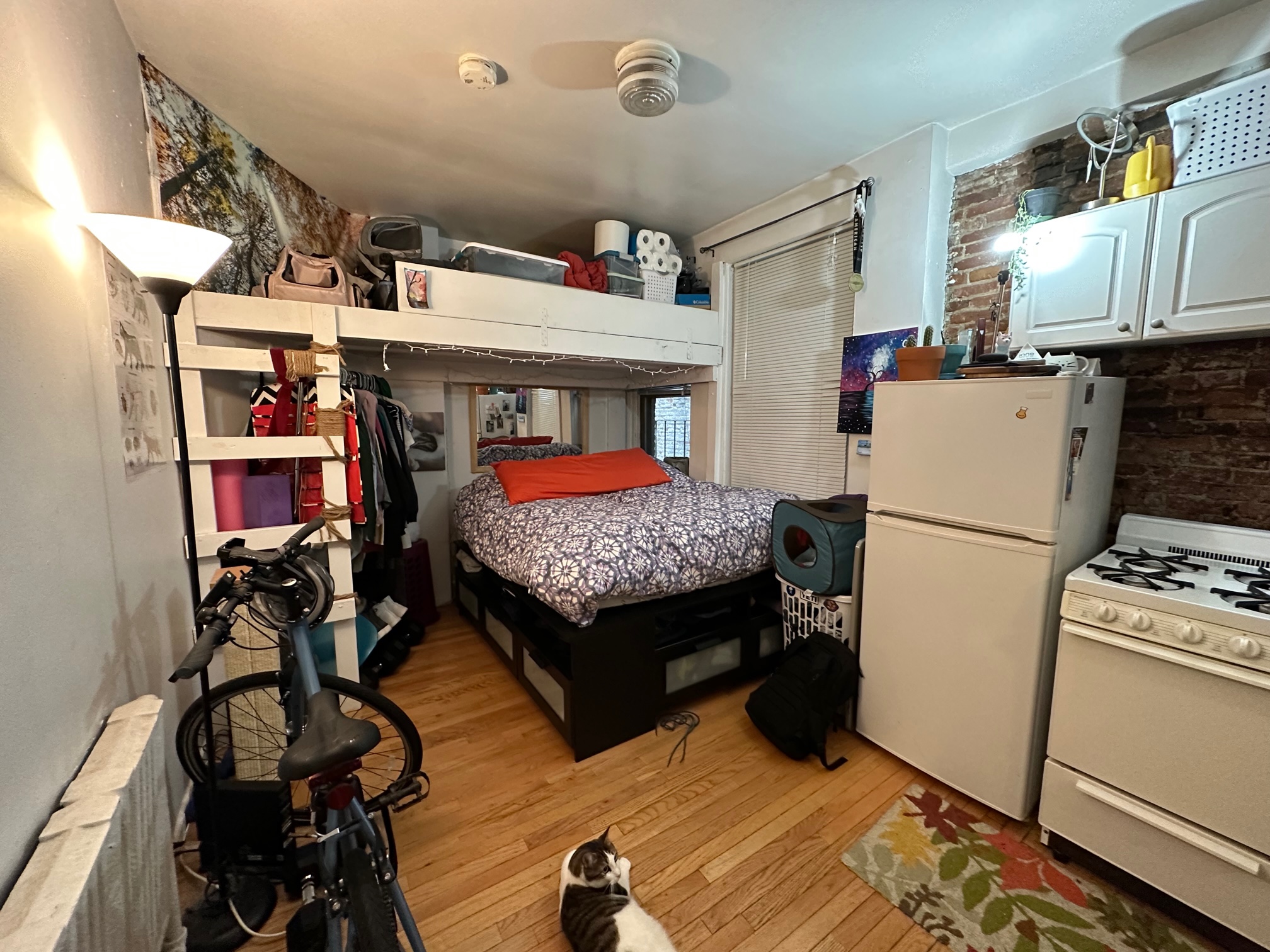 Studio bed, 1 bath apartment for rent at 64 Myrtle St Unit 5, Beacon Hill — photo 1 of 6