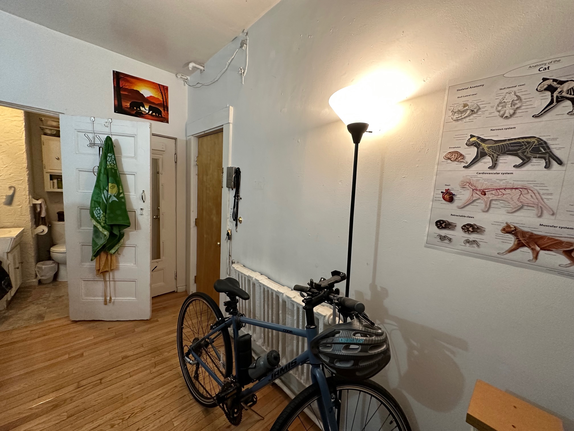 Studio bed, 1 bath apartment for rent at 64 Myrtle St Unit 5, Beacon Hill — photo 2 of 6