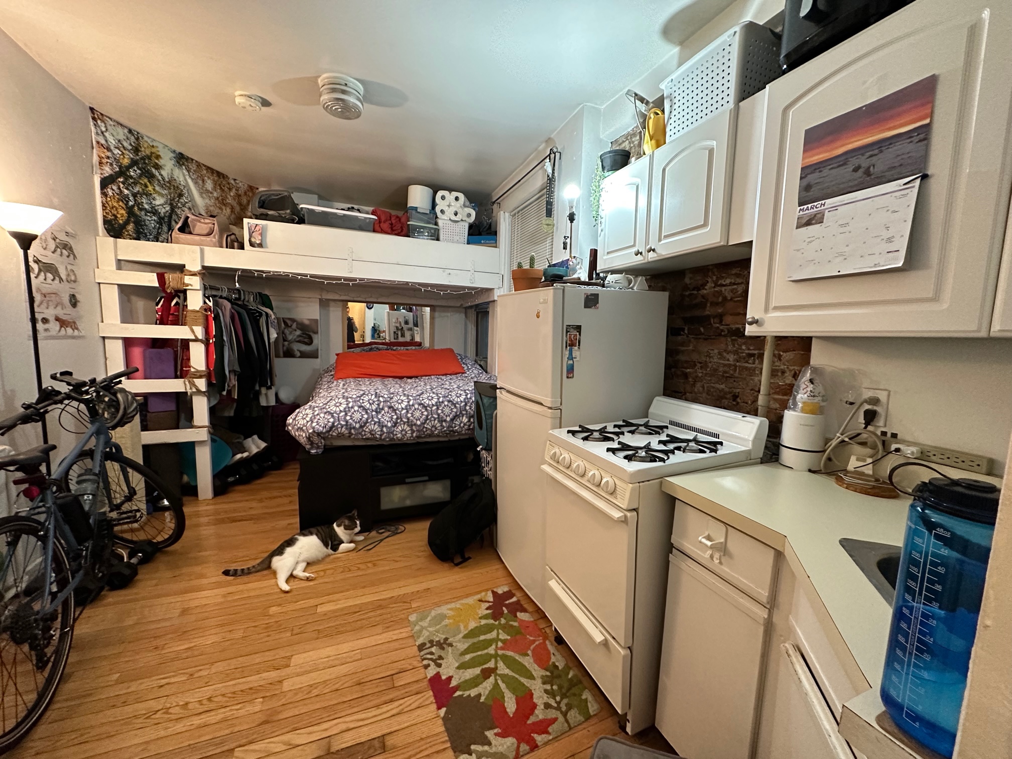 Studio bed, 1 bath apartment for rent at 64 Myrtle St Unit 5, Beacon Hill — photo 4 of 6