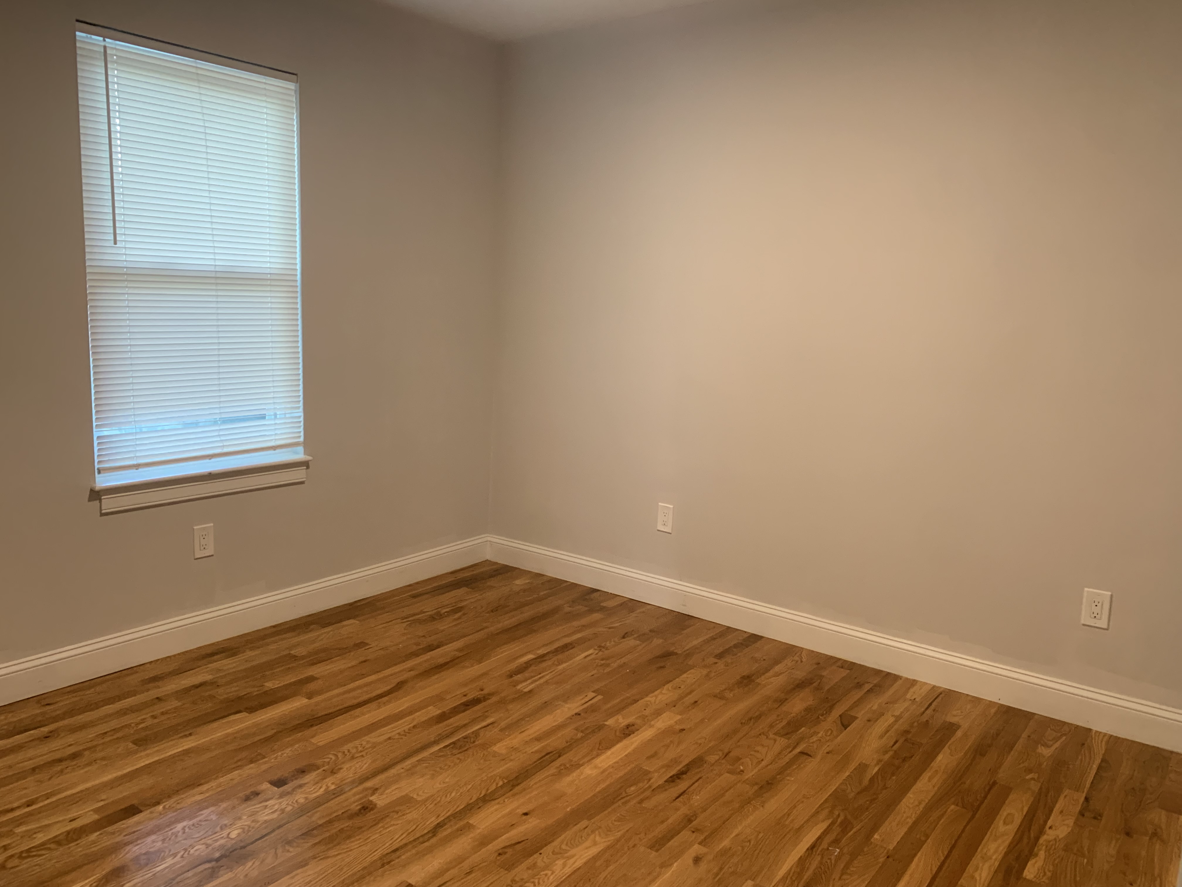 10 Harding St, Wellington-Harrington