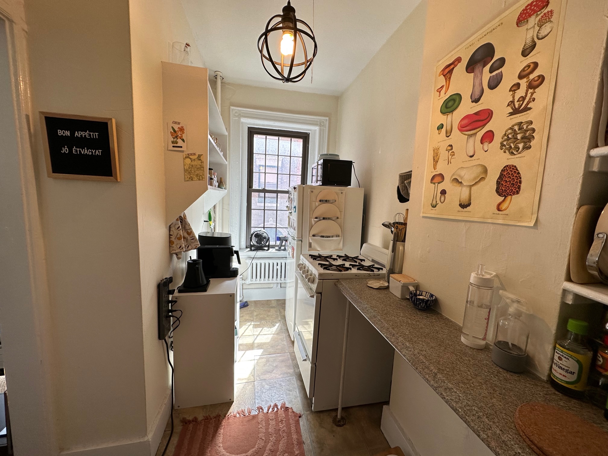 1 bed, 1 bath apartment for rent at 99 Myrtle St Unit 3, Beacon Hill — photo 14 of 18