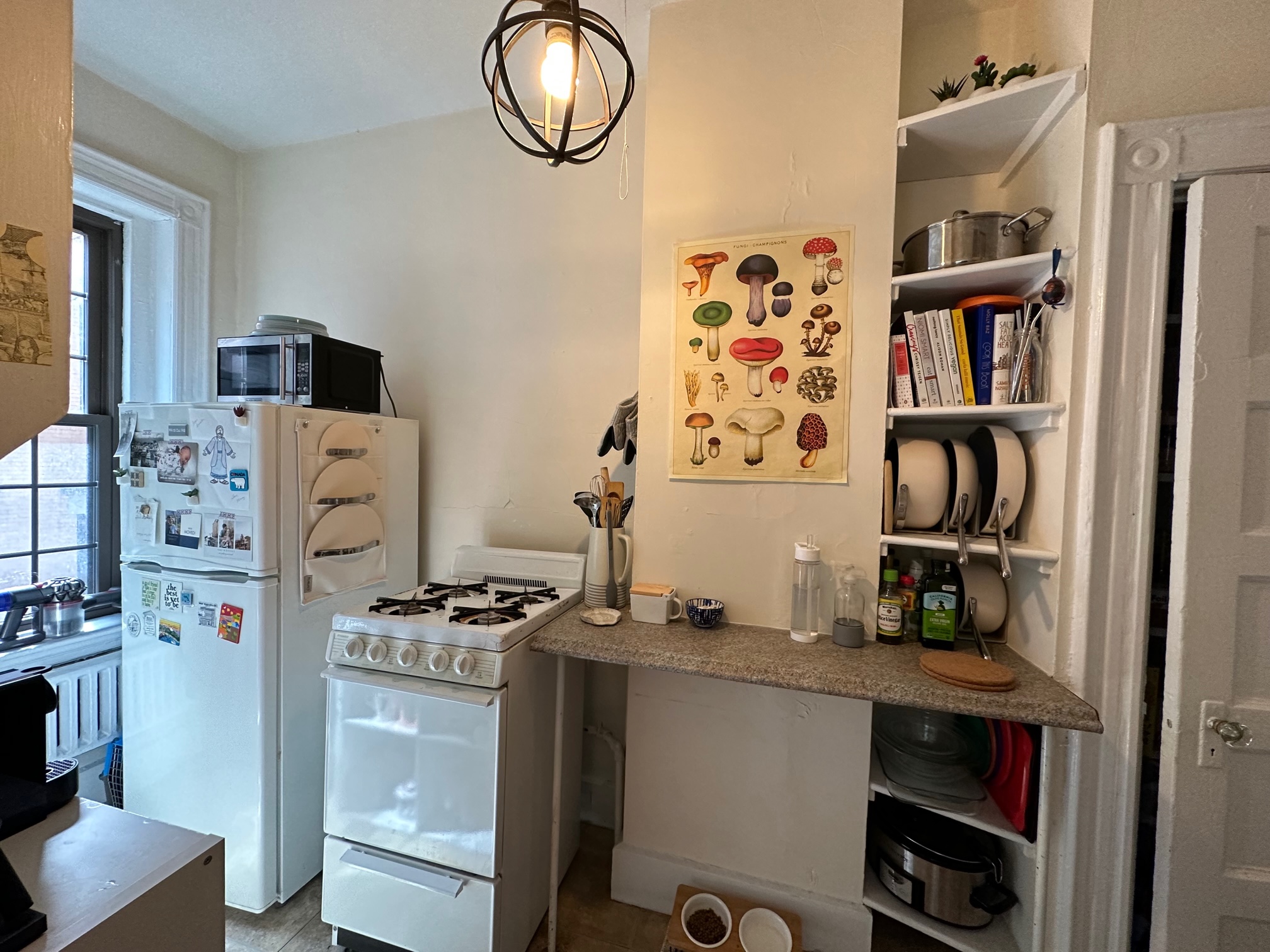 1 bed, 1 bath apartment for rent at 99 Myrtle St Unit 3, Beacon Hill — photo 11 of 18