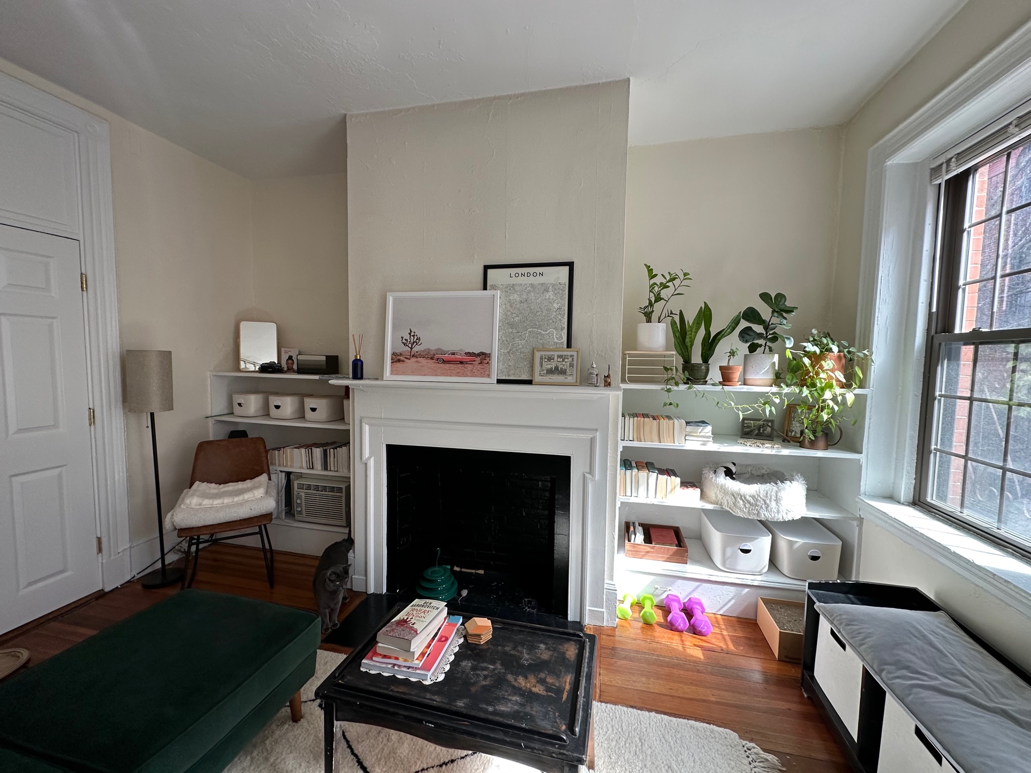 1 bed, 1 bath apartment for rent at 99 Myrtle St Unit 3, Beacon Hill — photo 4 of 18