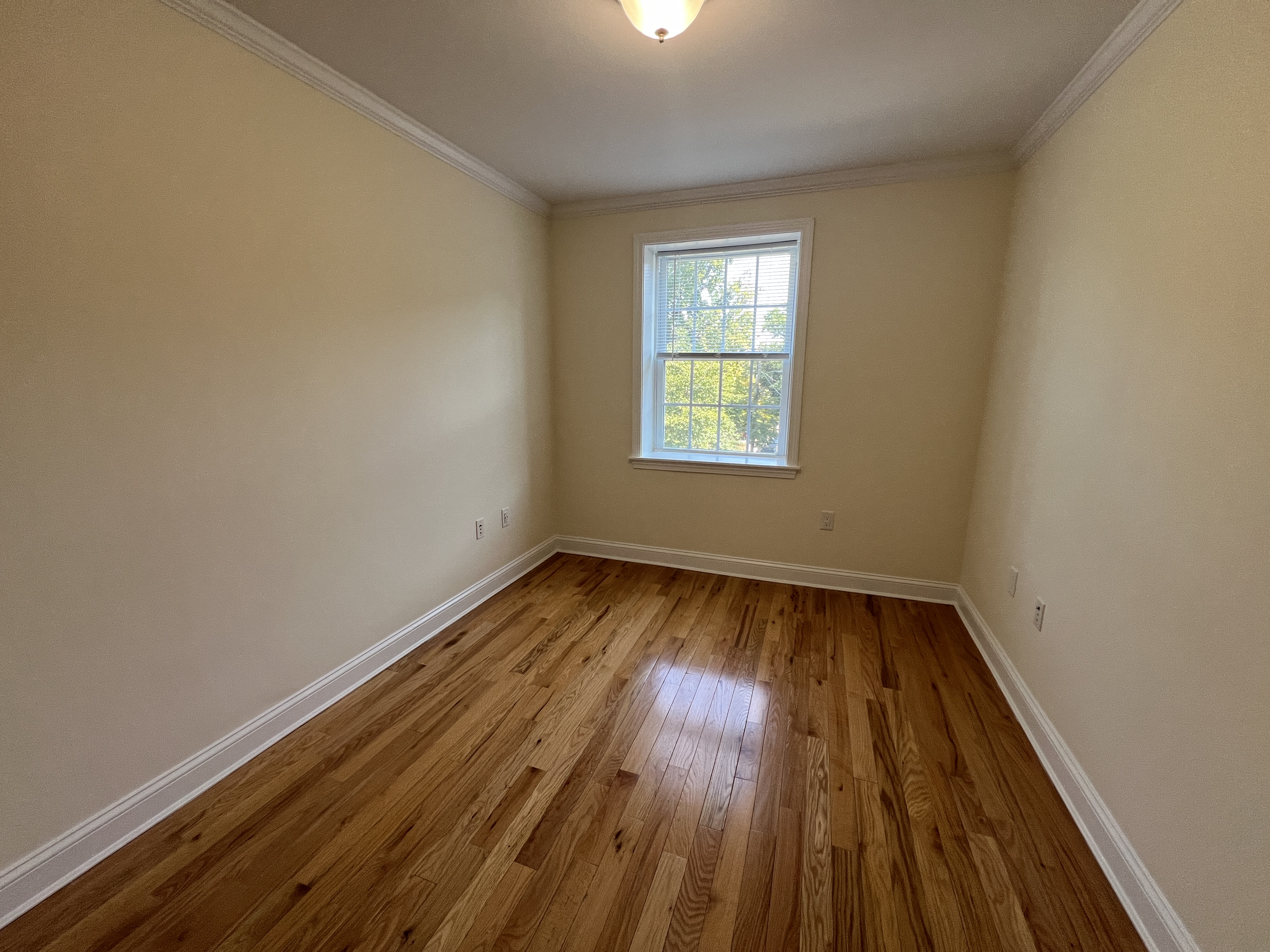 55 Langdon St, Neighborhood Nine