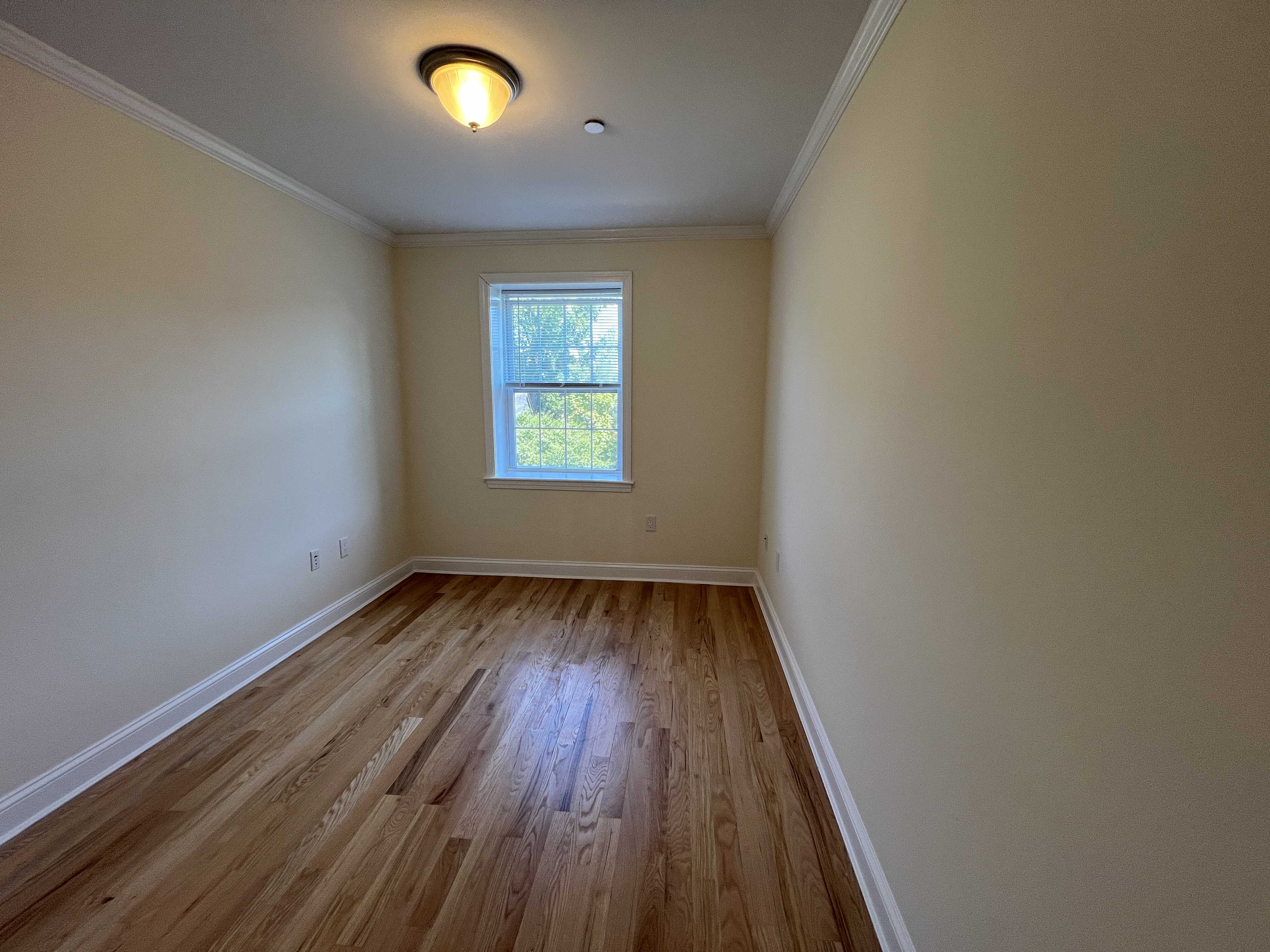 1 Langdon St, Neighborhood Nine