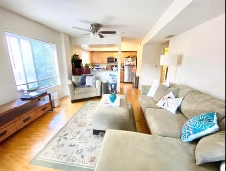2 bed, 2 bath apartment for rent at 340 Franklin St Unit 503, Central Square — photo 1 of 13