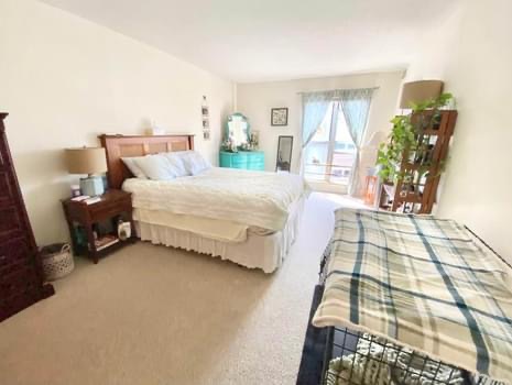 2 bed, 2 bath apartment for rent at 340 Franklin St Unit 503, Central Square — photo 6 of 13