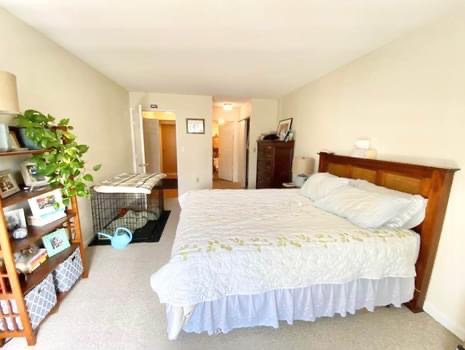 2 bed, 2 bath apartment for rent at 340 Franklin St Unit 503, Central Square — photo 7 of 13