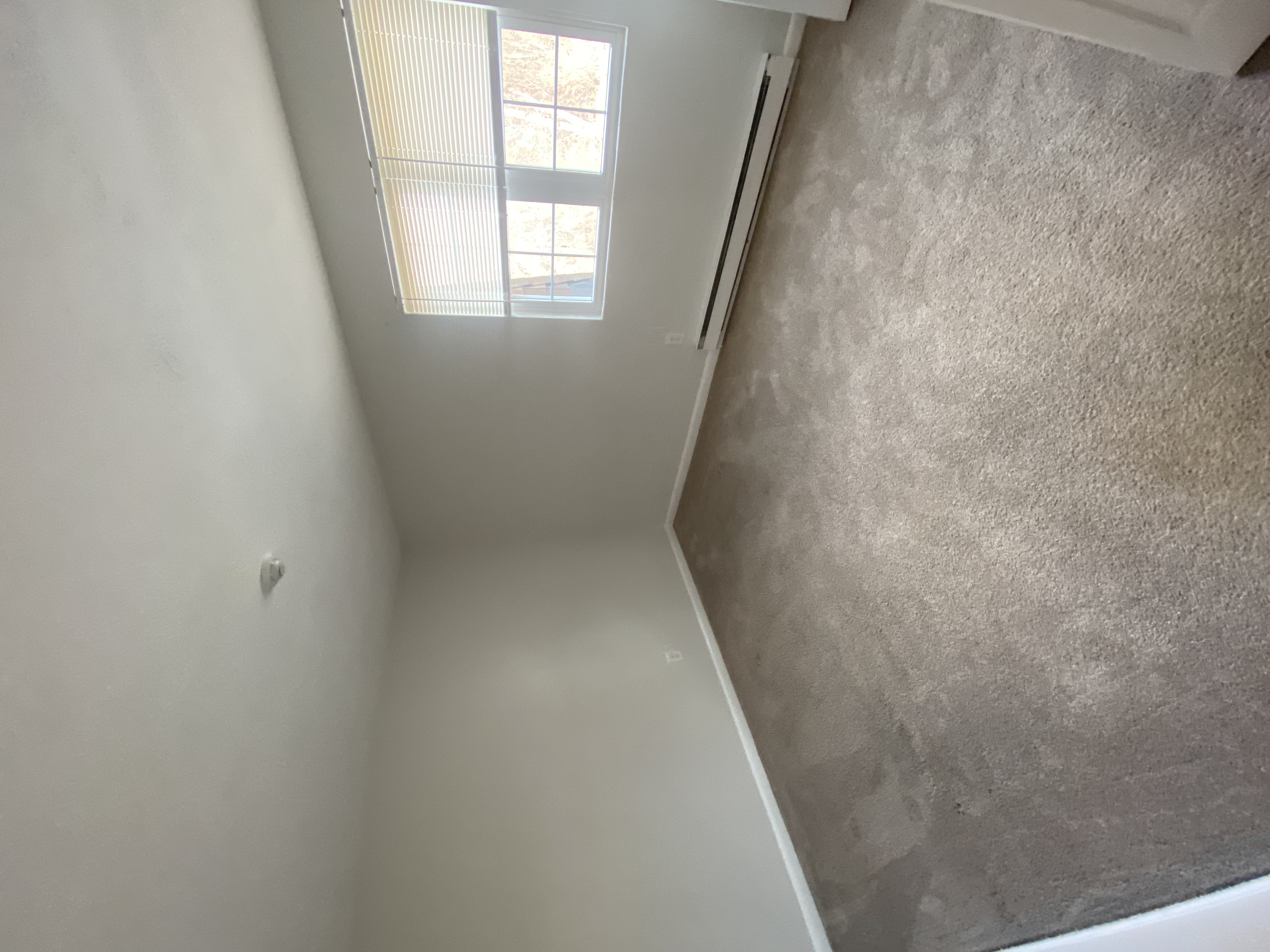 2 bed, 1 bath apartment for rent at 55 Elmwood Park Unit 36, Quincy — photo 13 of 18