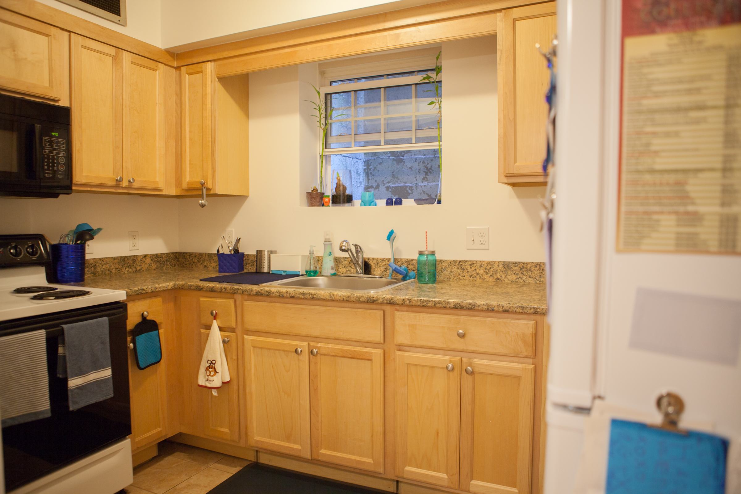 1 bed, 1 bath apartment for rent at 159 St Paul St Unit 1A, Coolidge Corner — photo 2 of 7