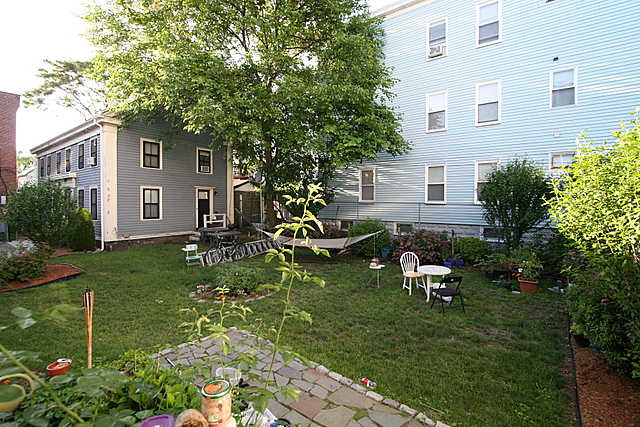 2.5 bed, 2 bath apartment for rent at 437 Somerville Ave Unit 2R, Union Square — photo 19 of 19