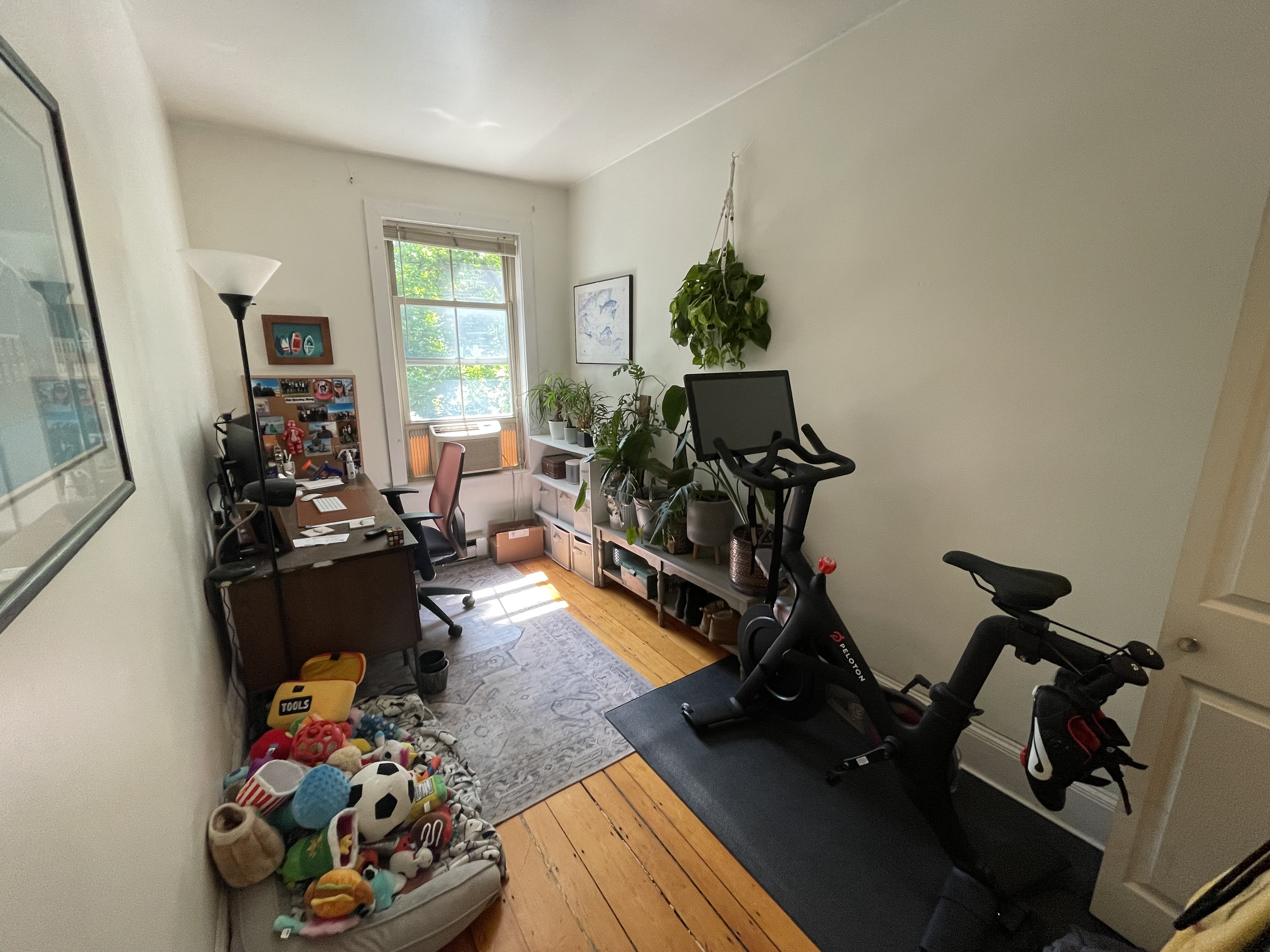 44 East Springfield St, South End