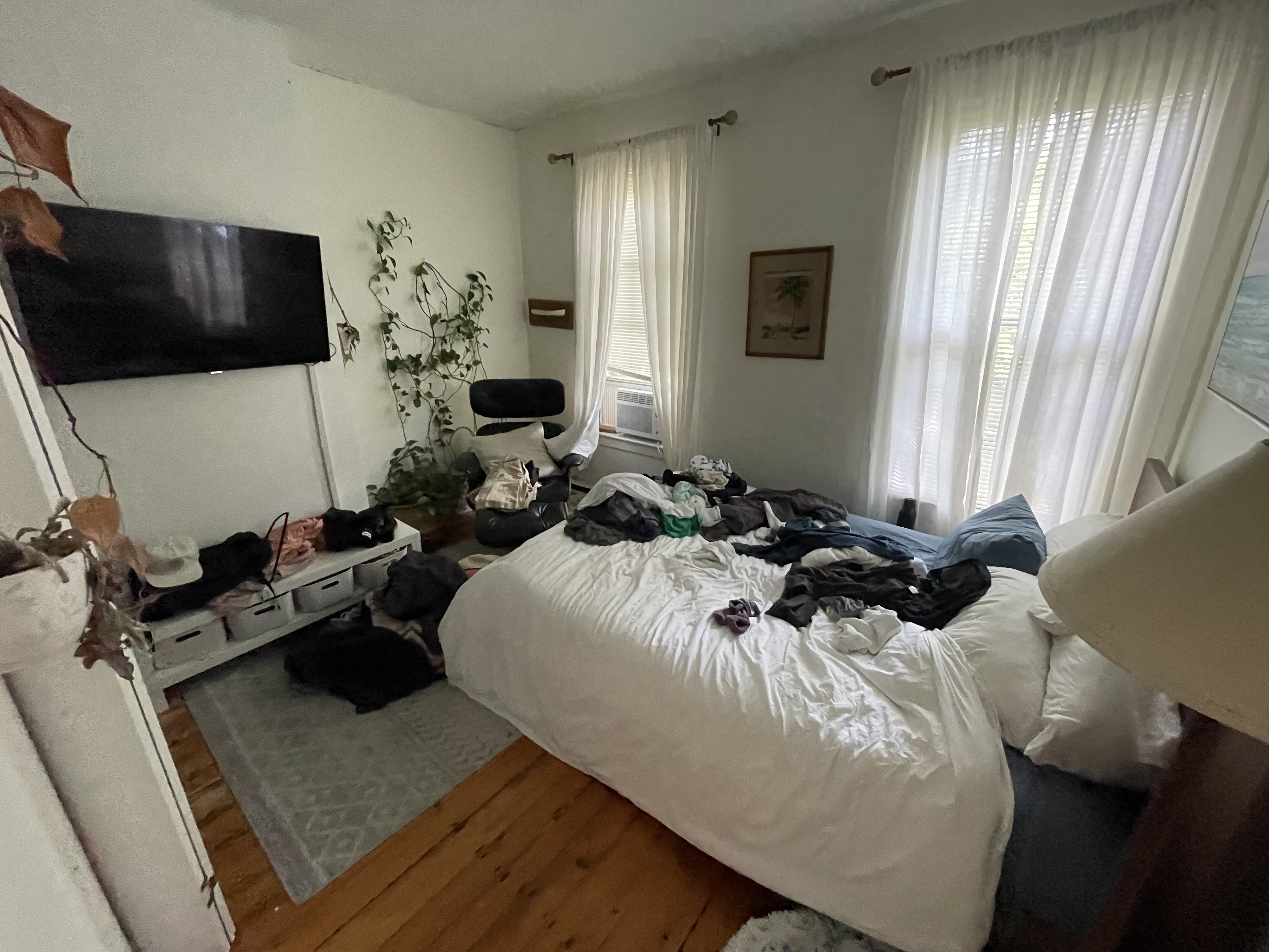 44 East Springfield St, South End