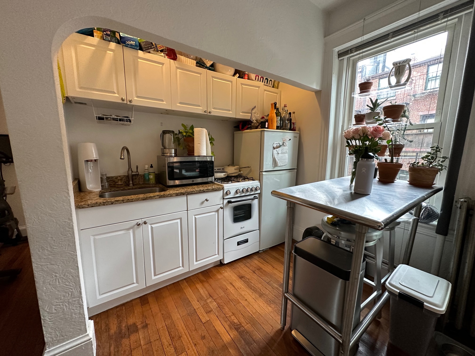 1 bed, 1 bath apartment for rent at 26 Myrtle St Unit 6, Beacon Hill — photo 4 of 12