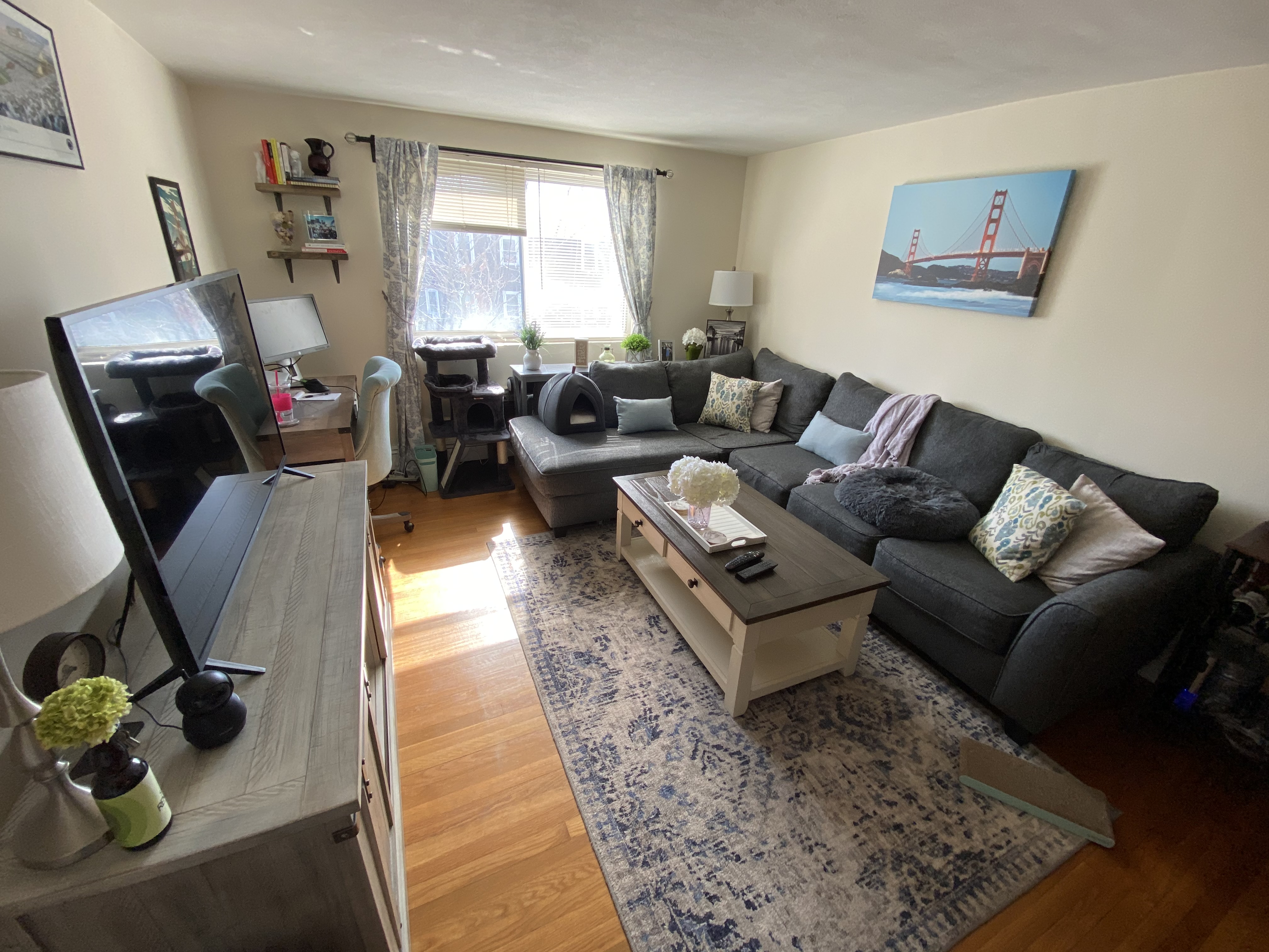 1 bed, 1 bath apartment for rent at 445 Washington St Unit 402, Brighton