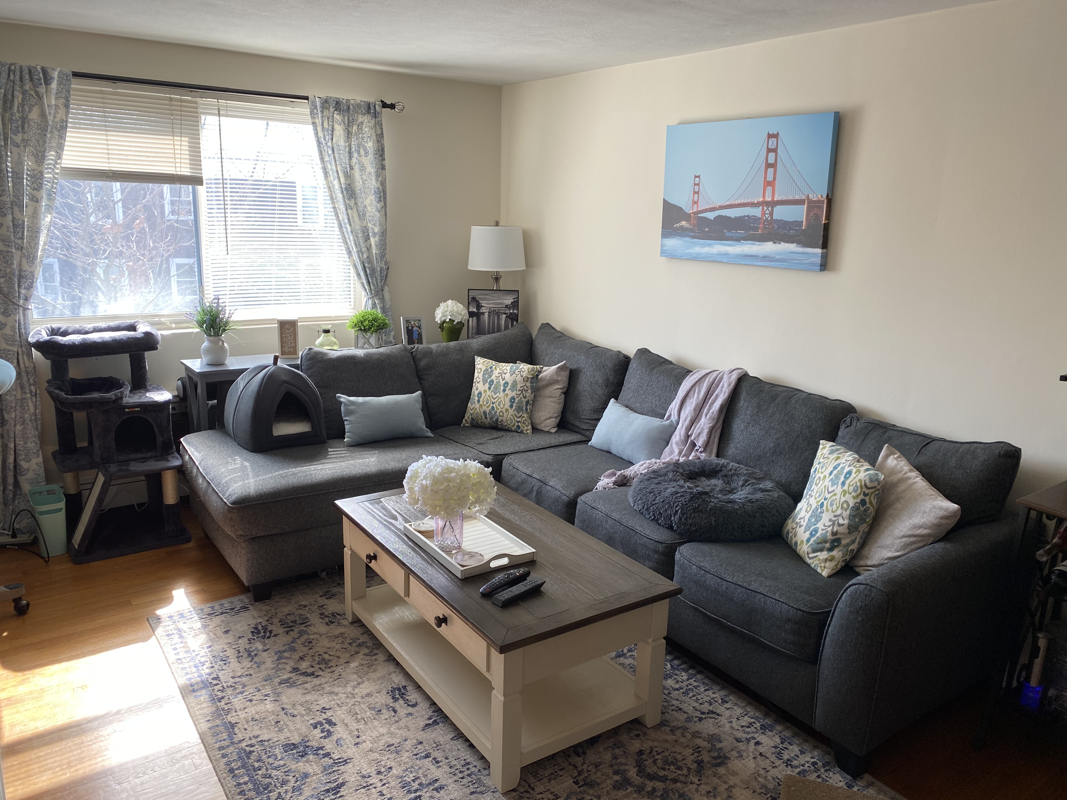 1 bed, 1 bath apartment for rent at 445 Washington St Unit 402, Brighton — photo 4 of 12