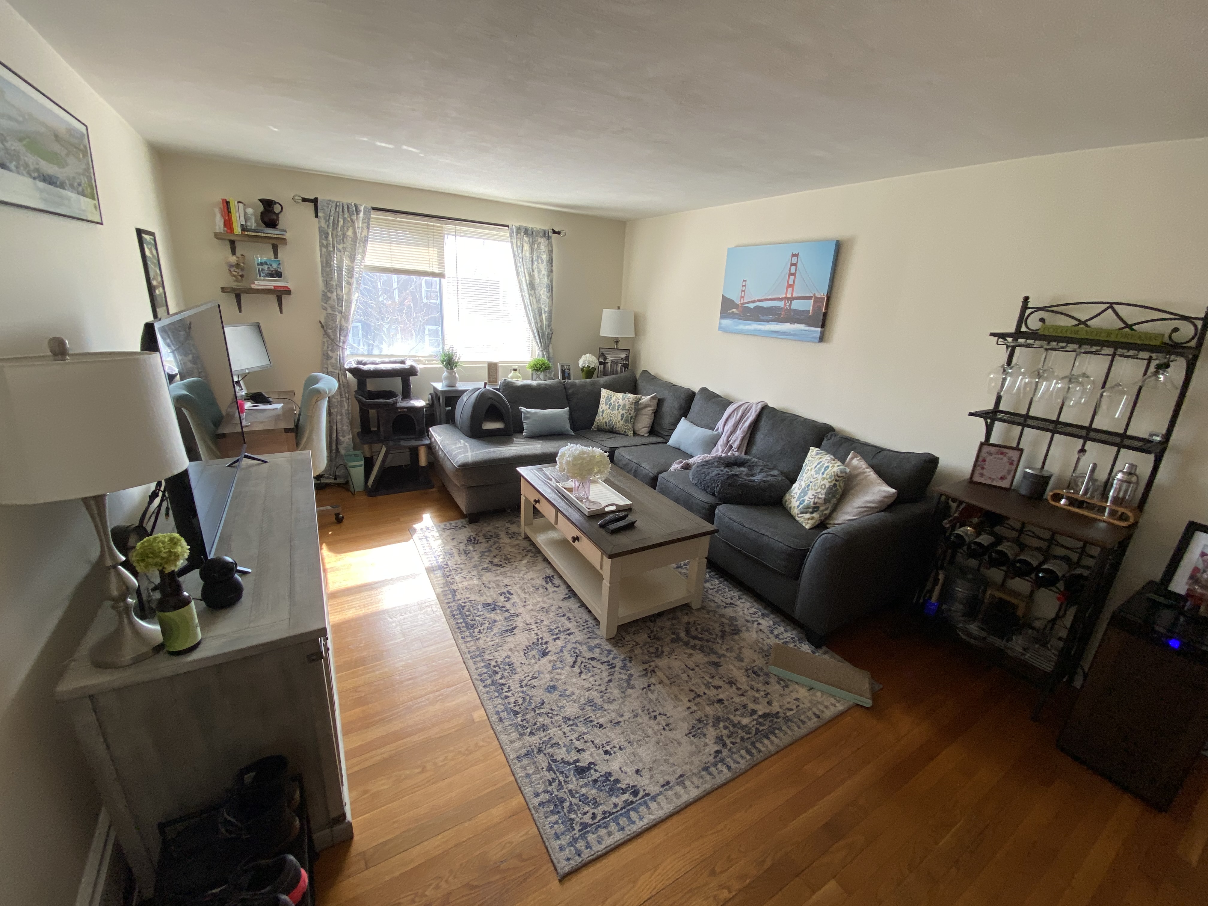 1 bed, 1 bath apartment for rent at 445 Washington St Unit 402, Brighton — photo 5 of 12