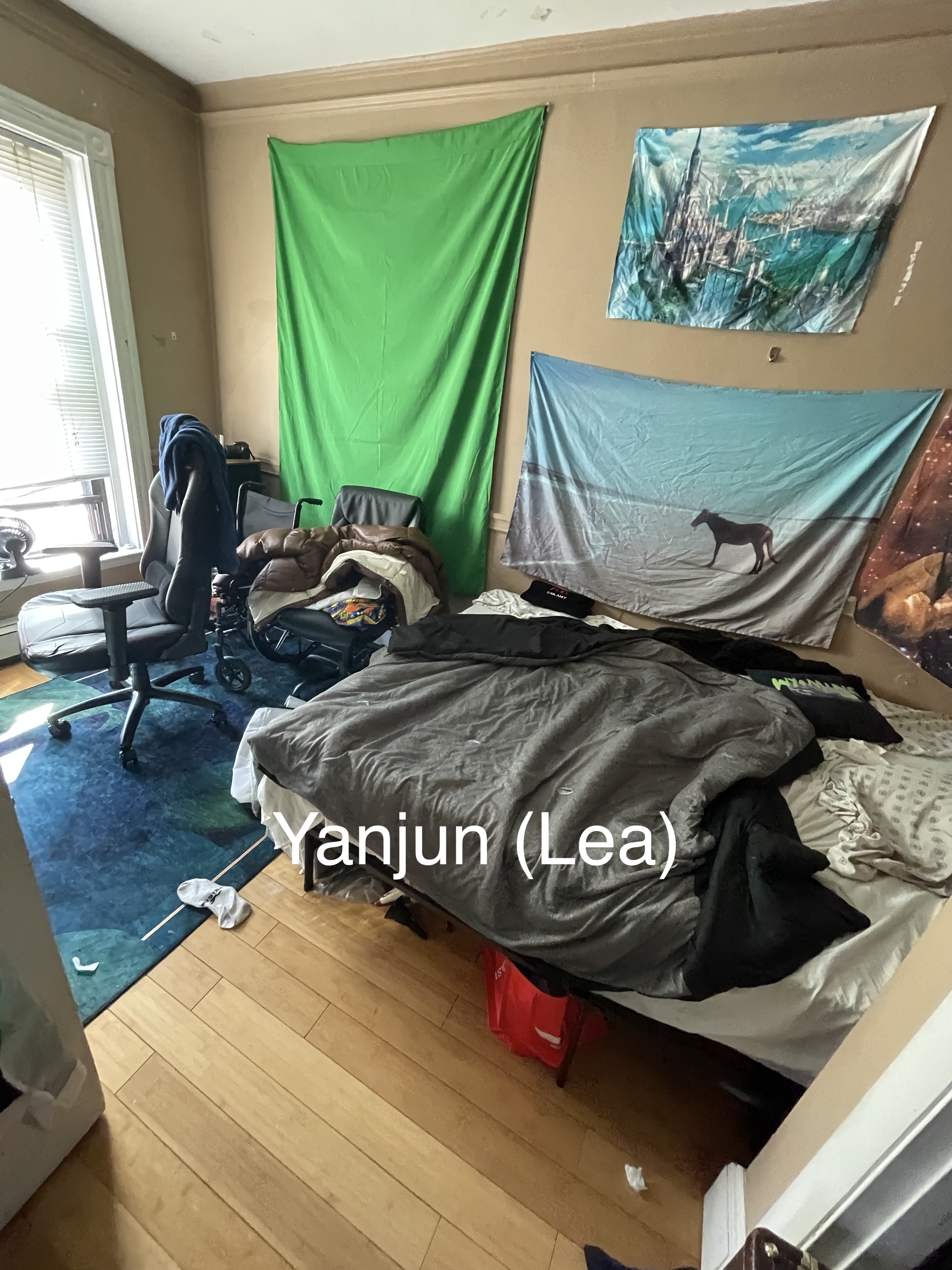 12 Bay State Rd, Fenway